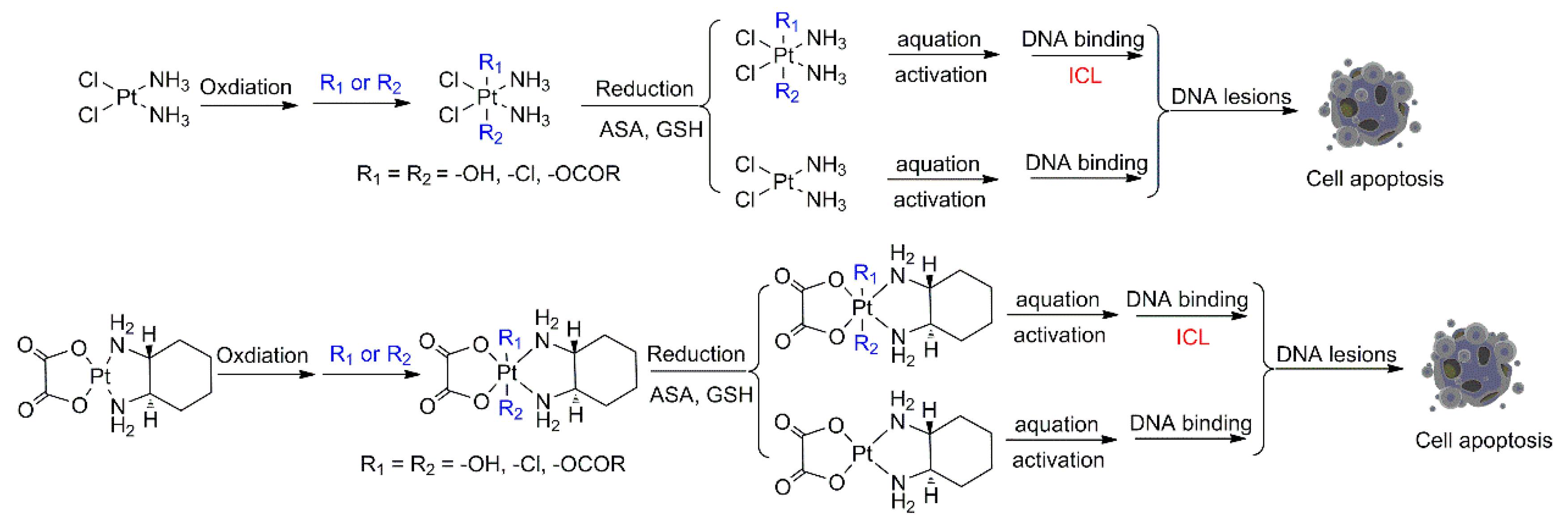 Molecules 29 00746 g005 Molecules 29 00746 g005