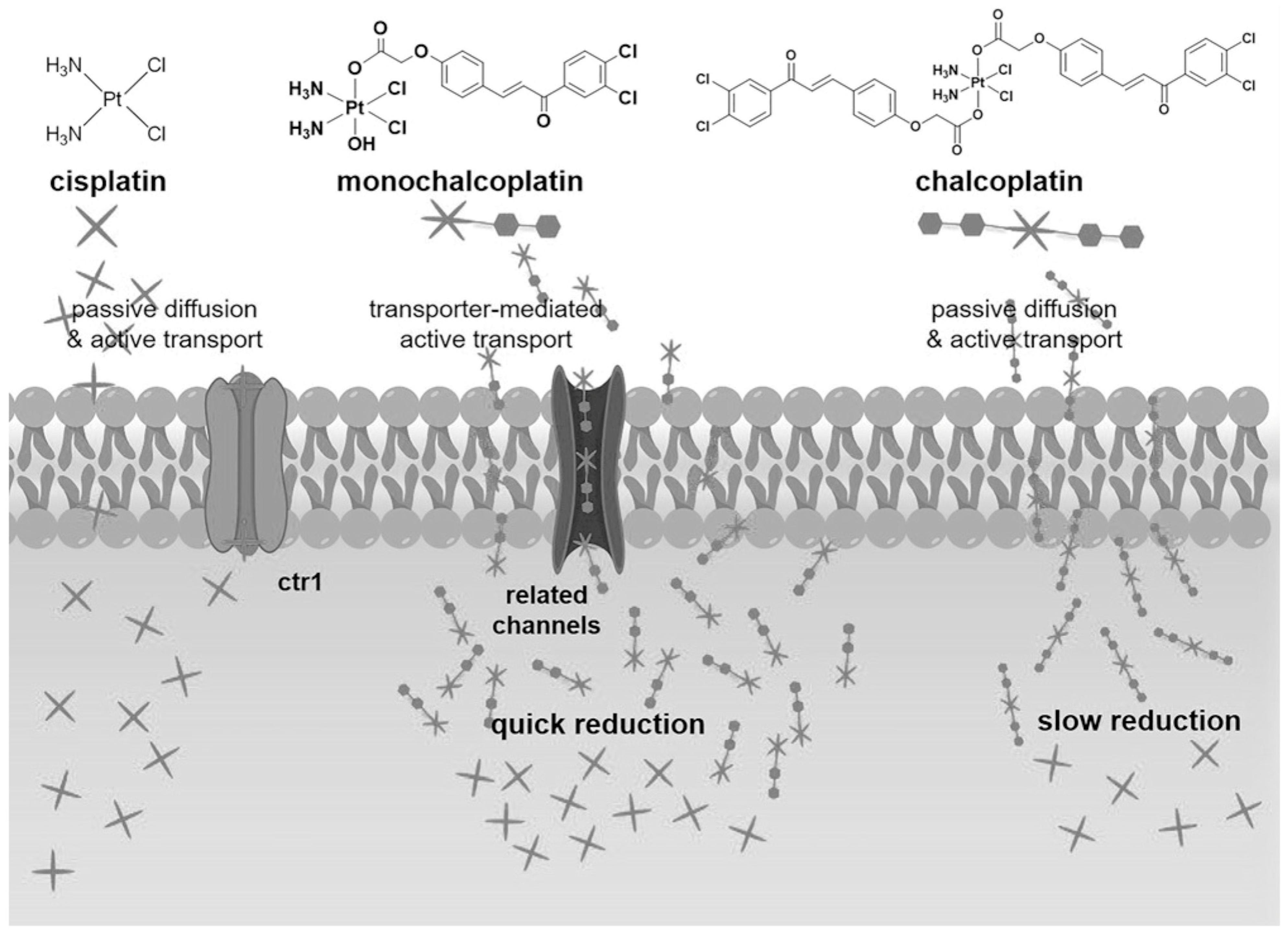Molecules 29 00746 g006 Molecules 29 00746 g006