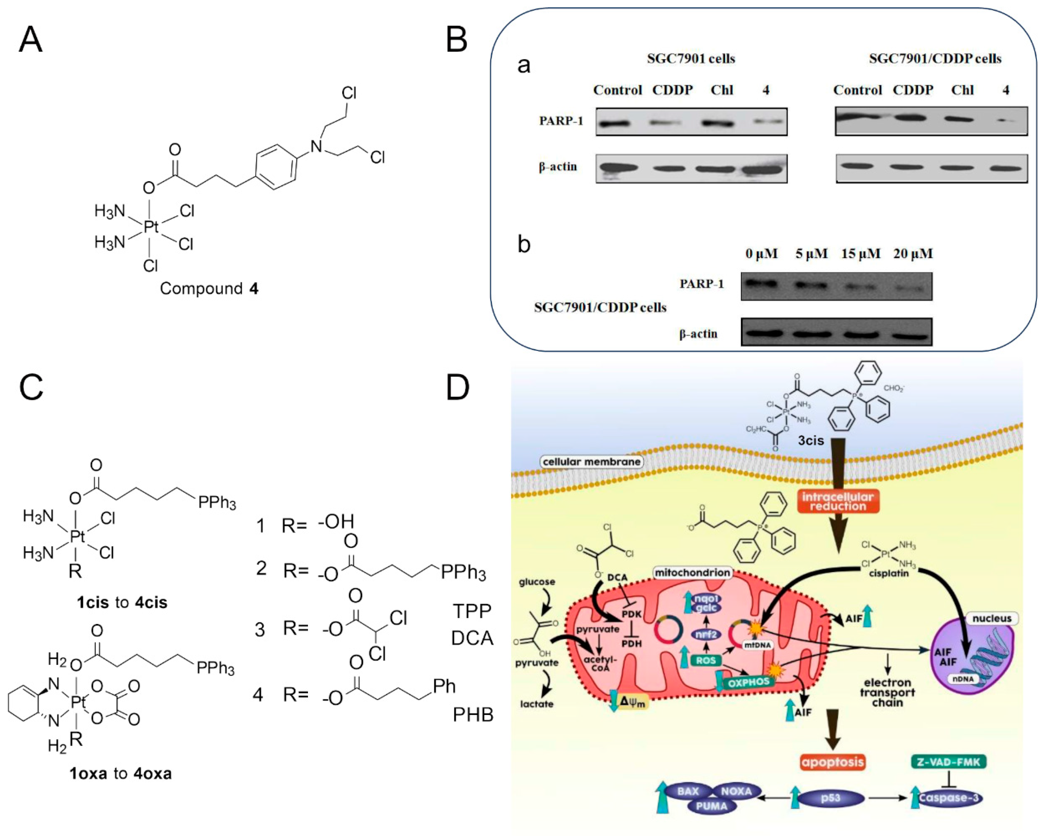 Molecules 29 00746 g010 Molecules 29 00746 g010