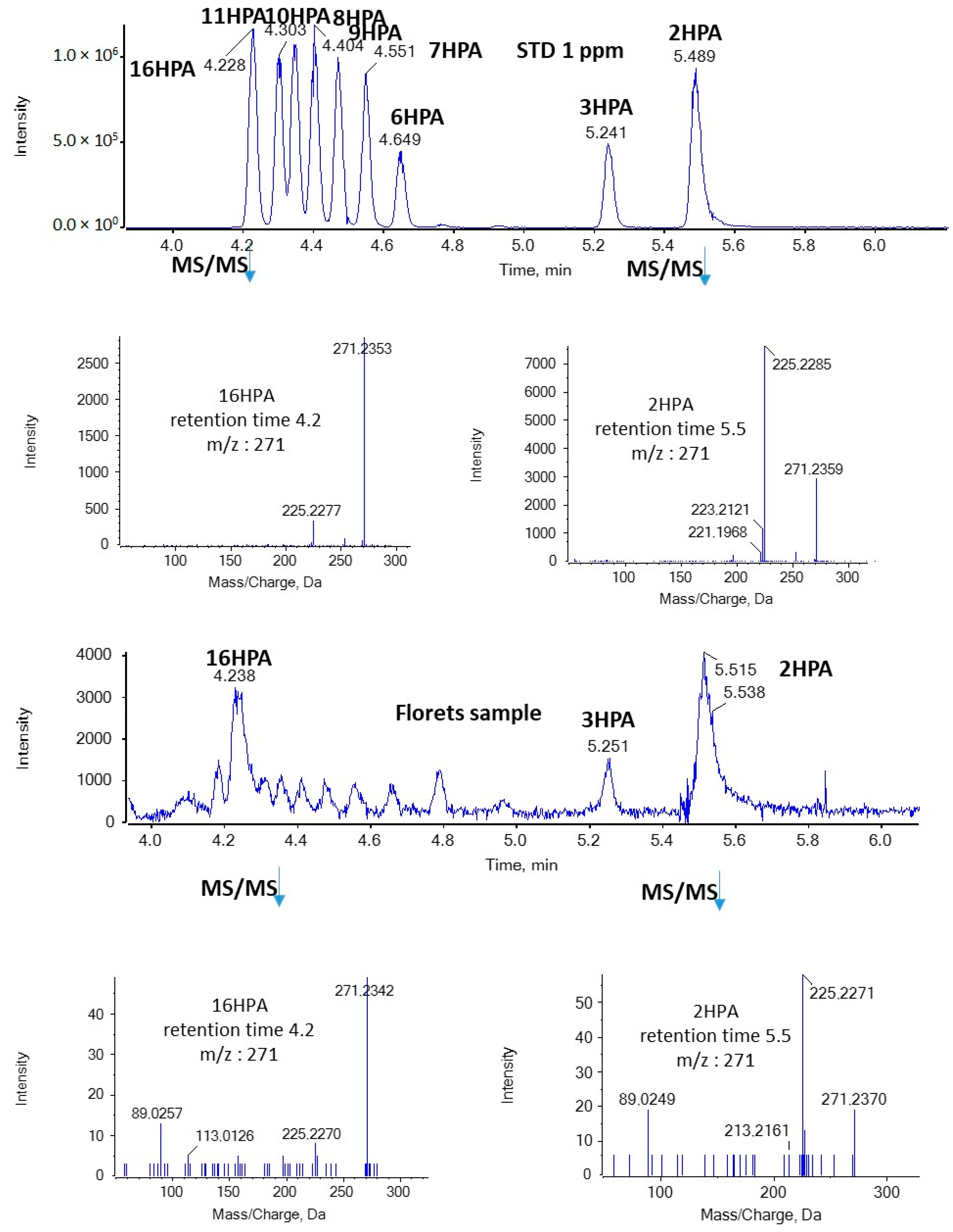 Molecules 29 00754 g004