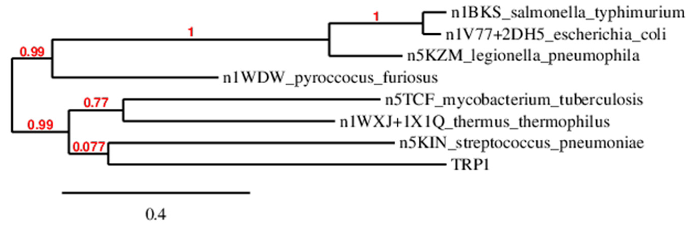 Molecules 29 00756 g002 Molecules 29 00756 g002