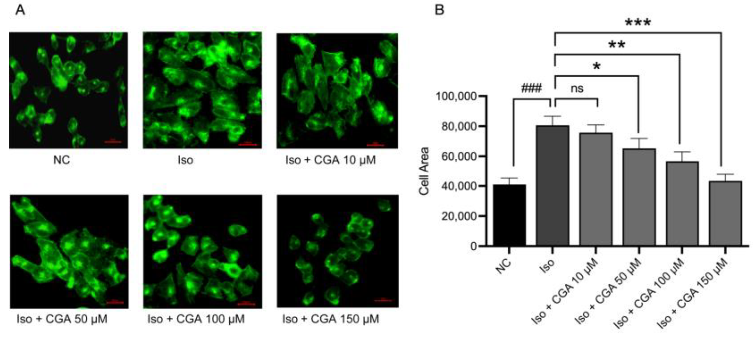 Molecules 29 00760 g002 Molecules 29 00760 g002