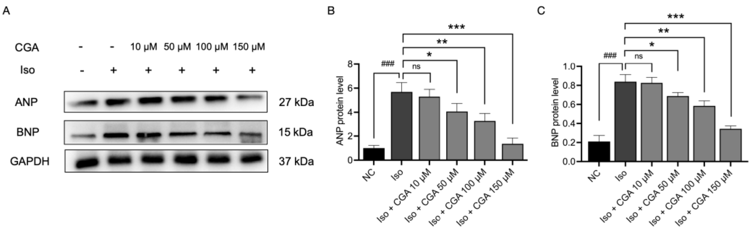 Molecules 29 00760 g004 Molecules 29 00760 g004