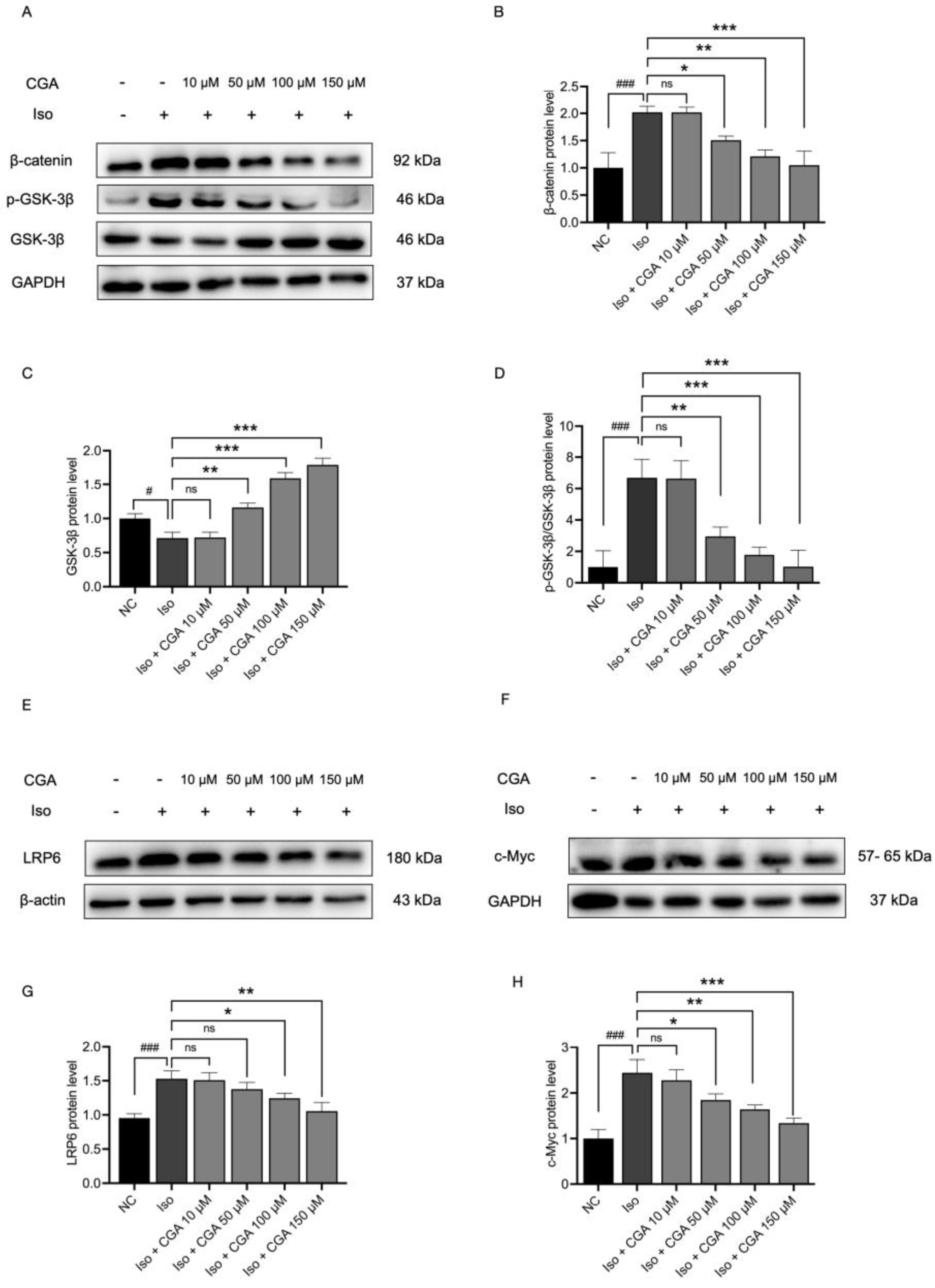Molecules 29 00760 g005 Molecules 29 00760 g005