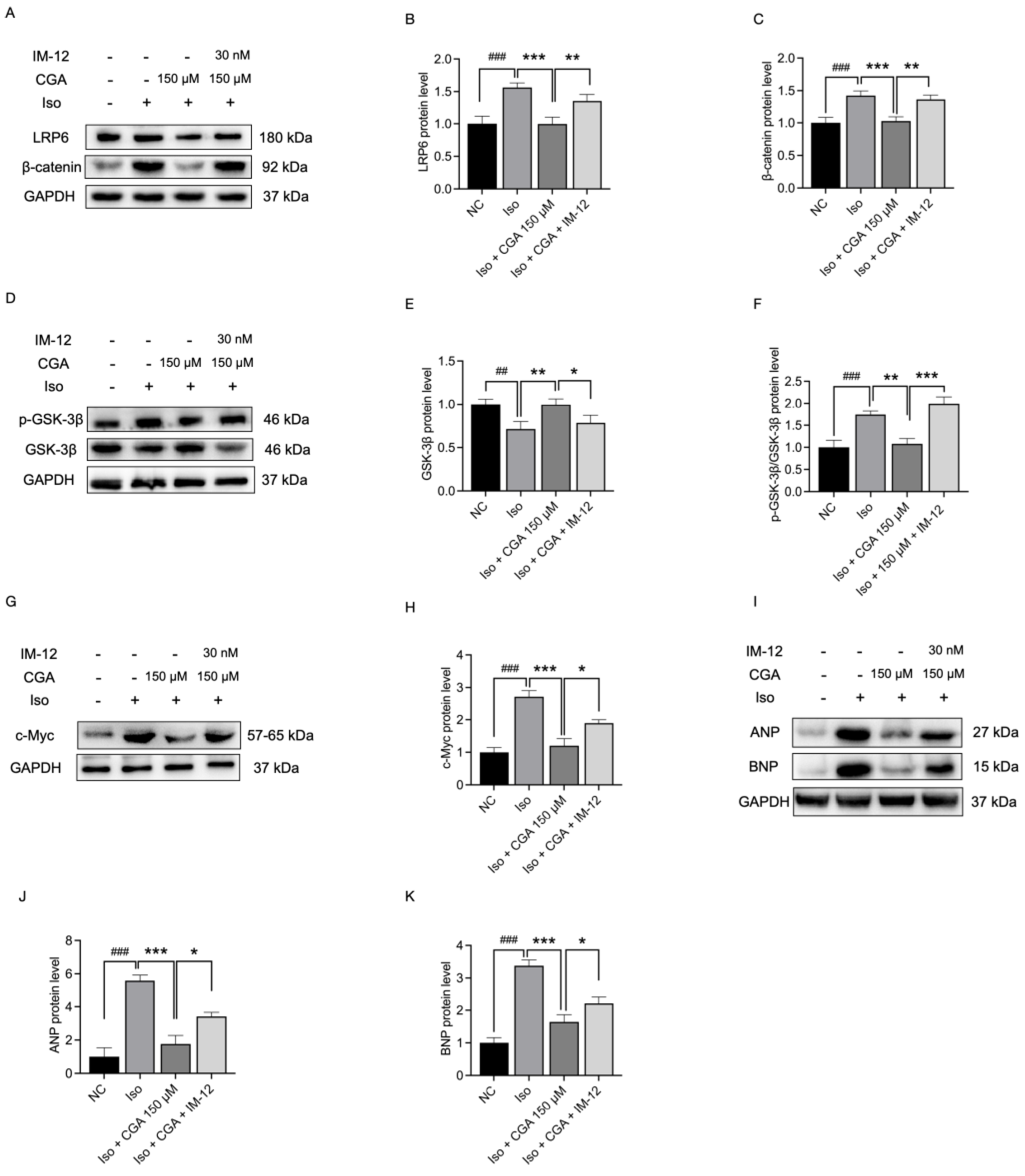 Molecules 29 00760 g006 Molecules 29 00760 g006
