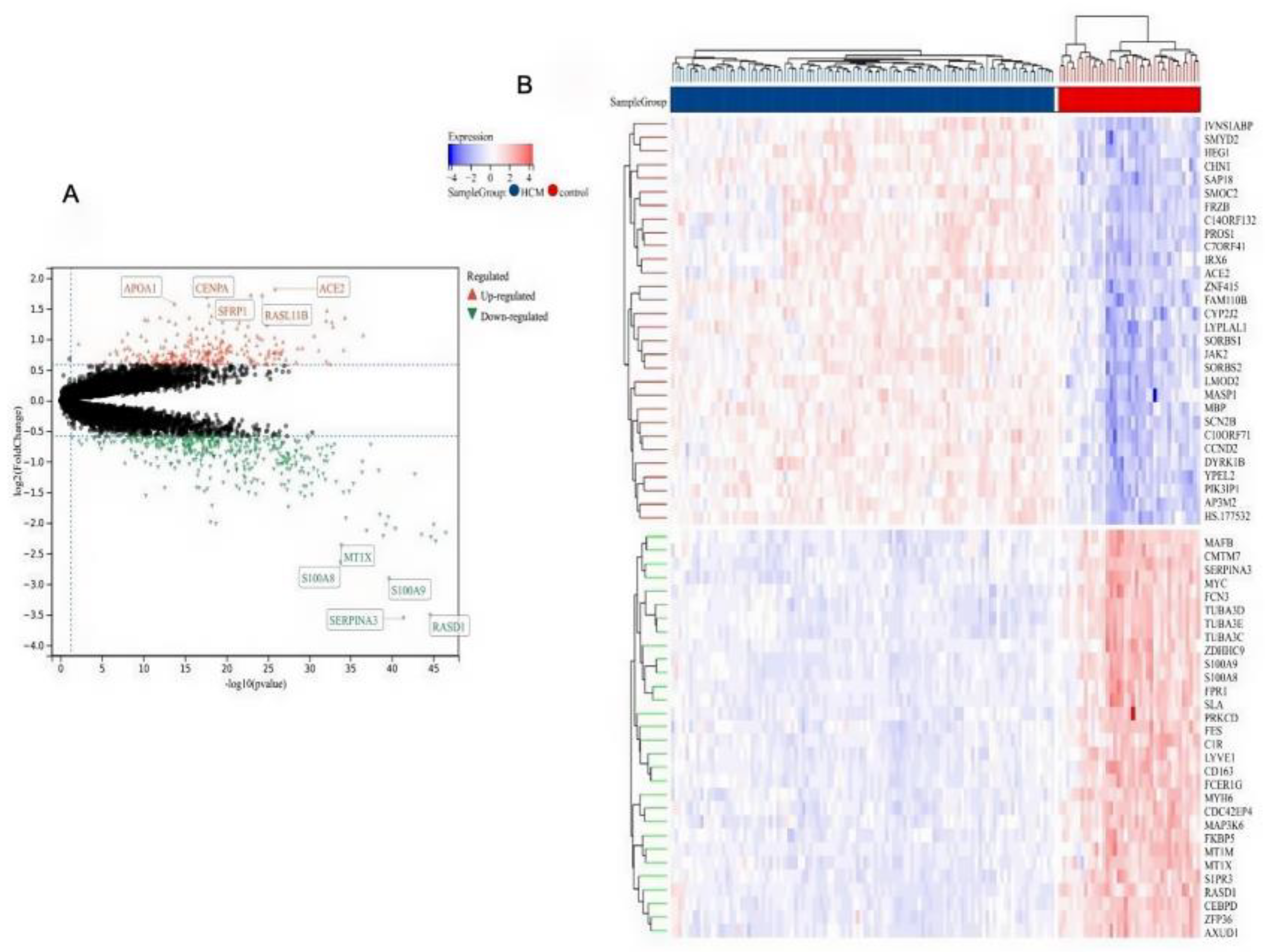 Molecules 29 00760 g007 Molecules 29 00760 g007
