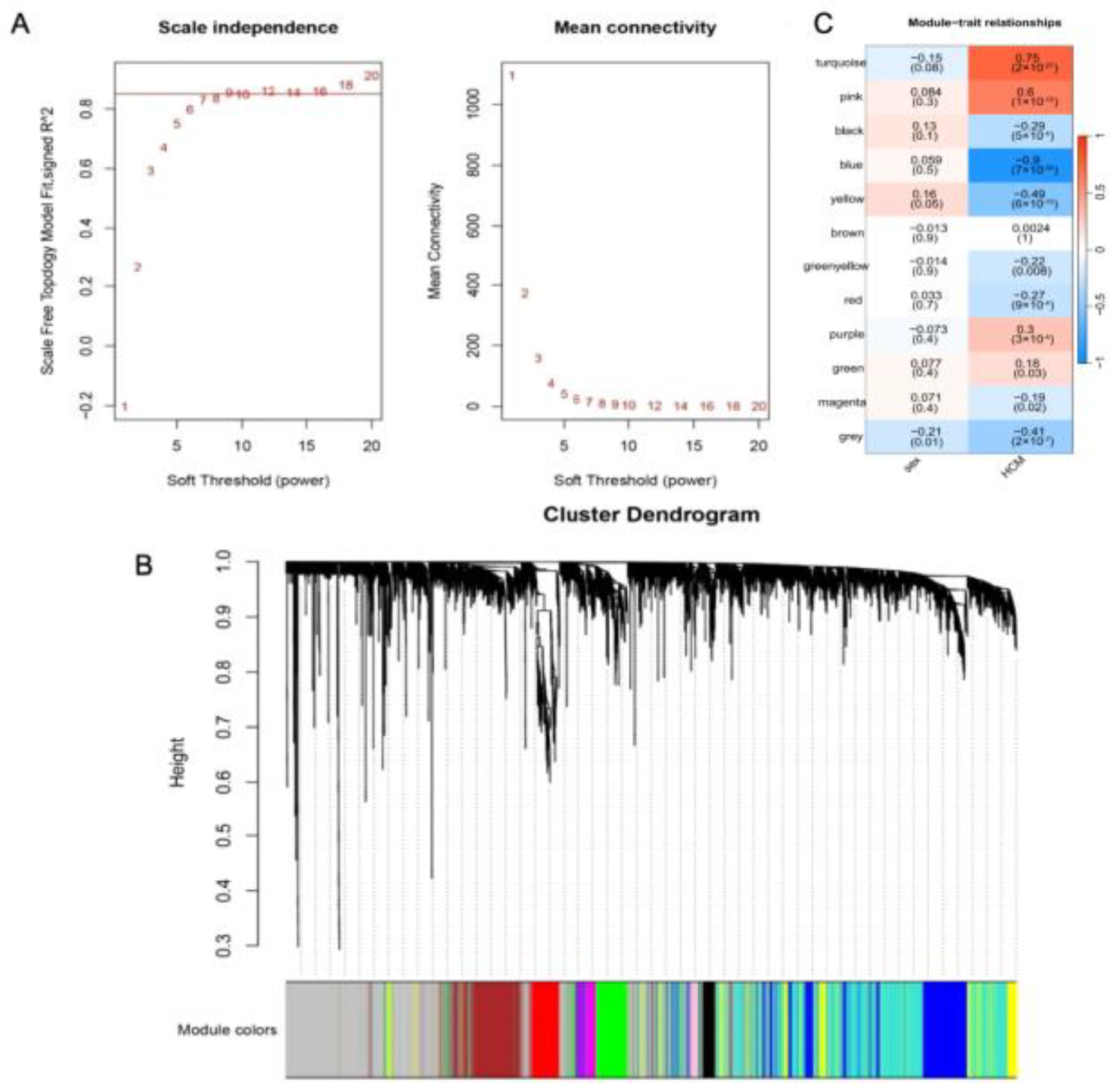 Molecules 29 00760 g008 Molecules 29 00760 g008