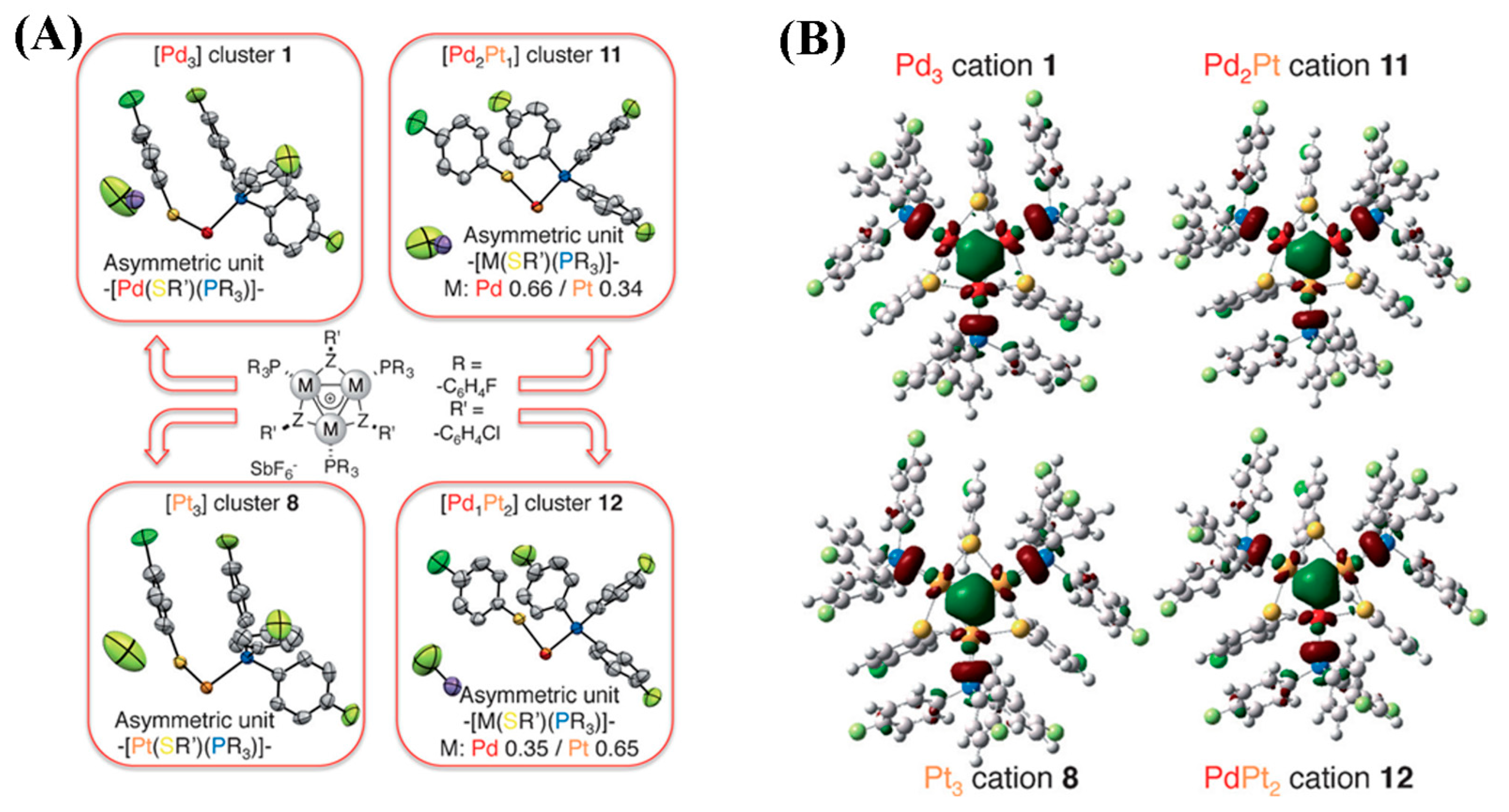 Molecules 29 00763 g009