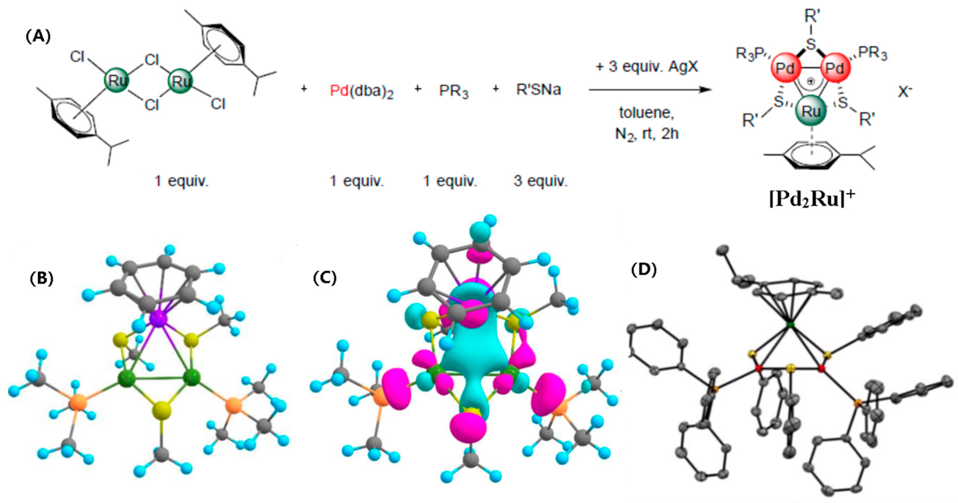 Molecules 29 00763 g010