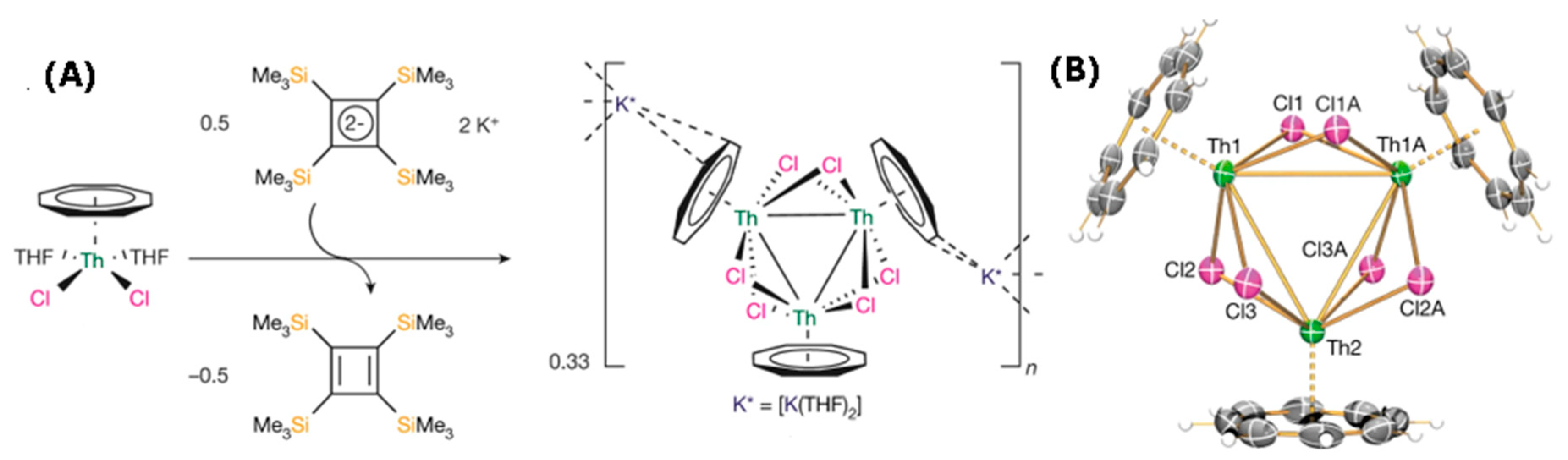 Molecules 29 00763 g011