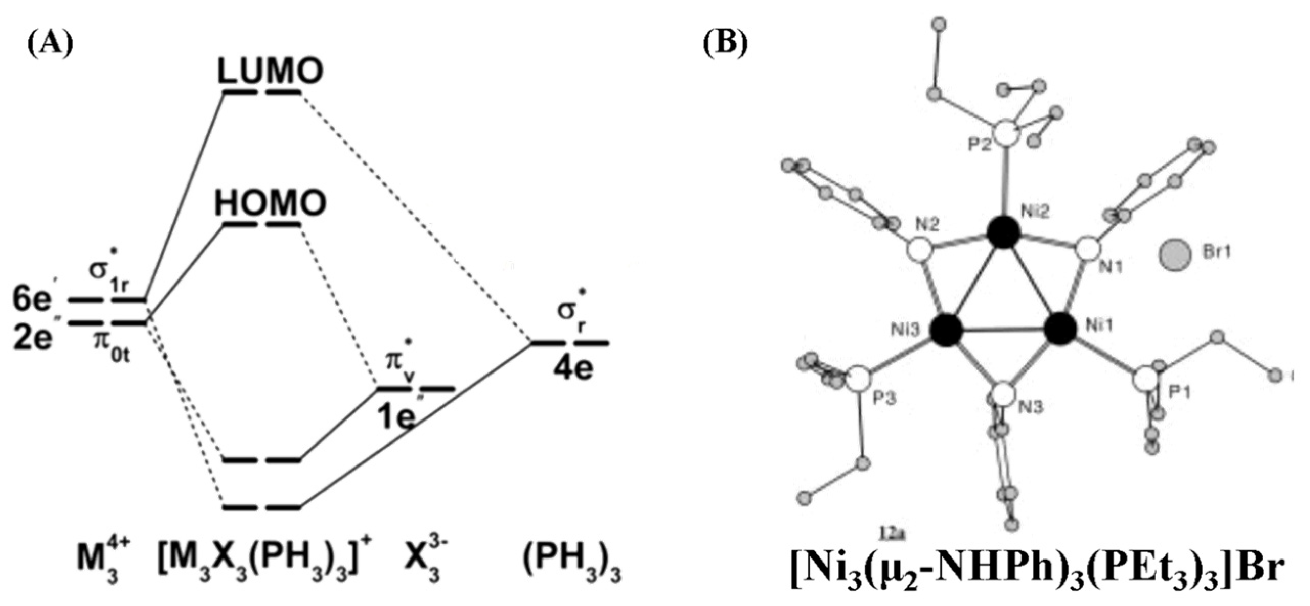 Molecules 29 00763 g017