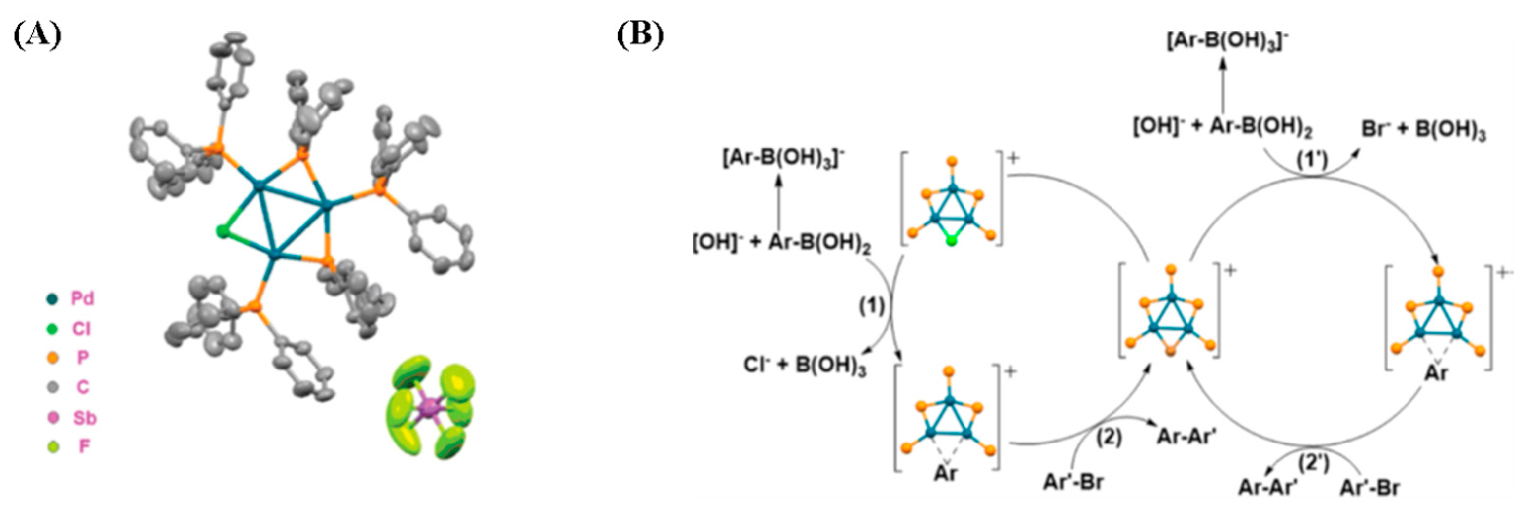 Molecules 29 00763 g028