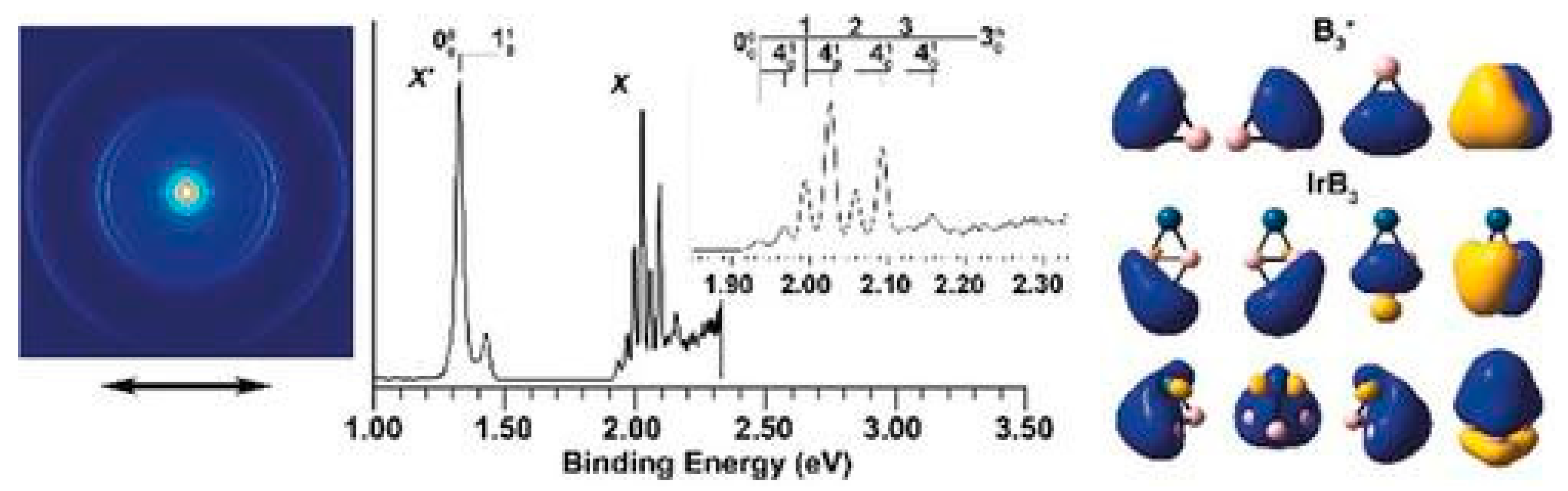 Molecules 29 00763 g033