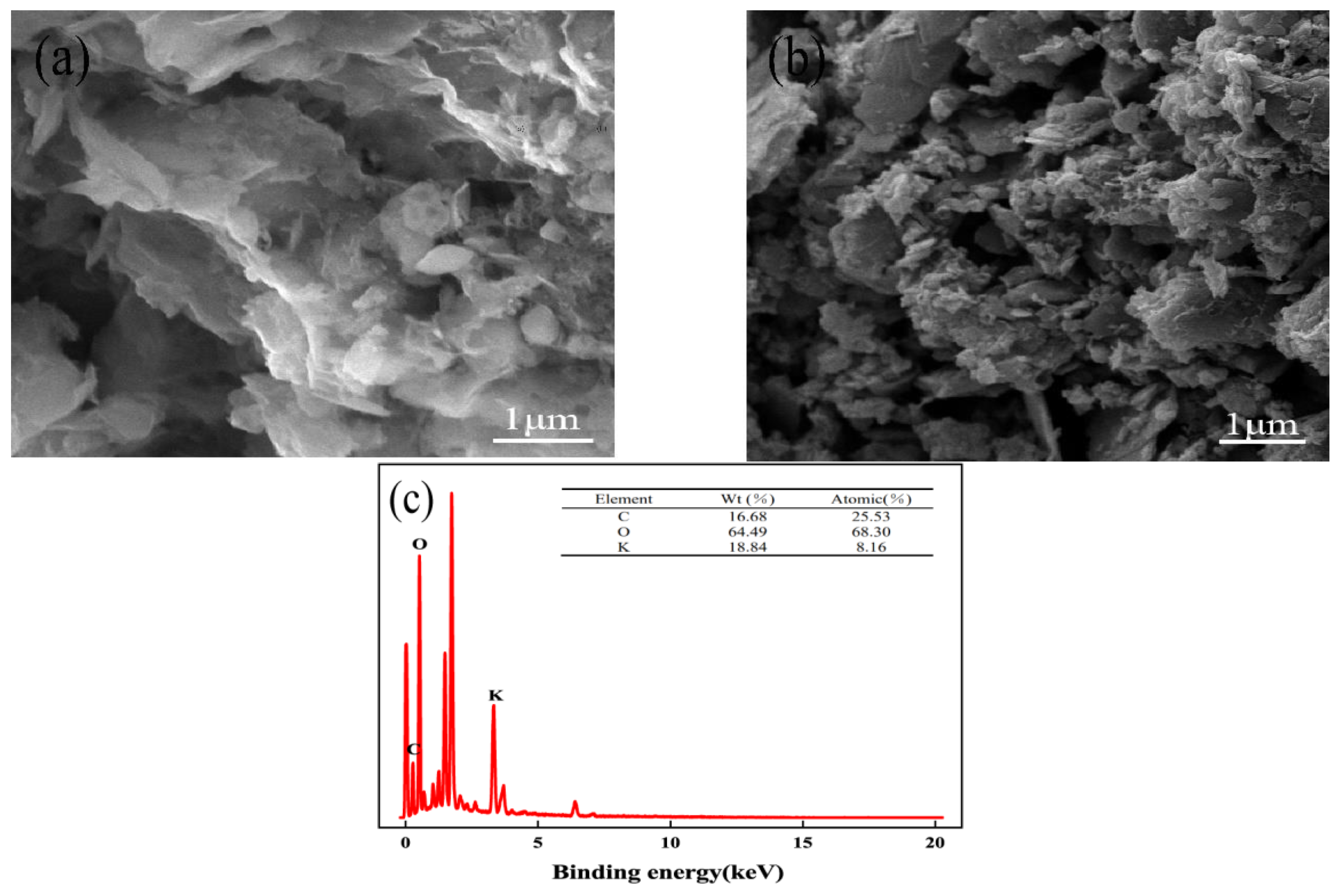 Molecules 29 00769 g002