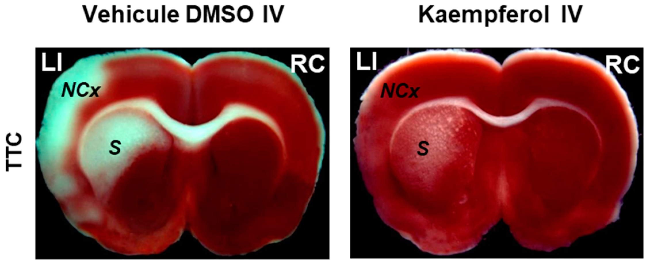 Molecules 29 00776 g002