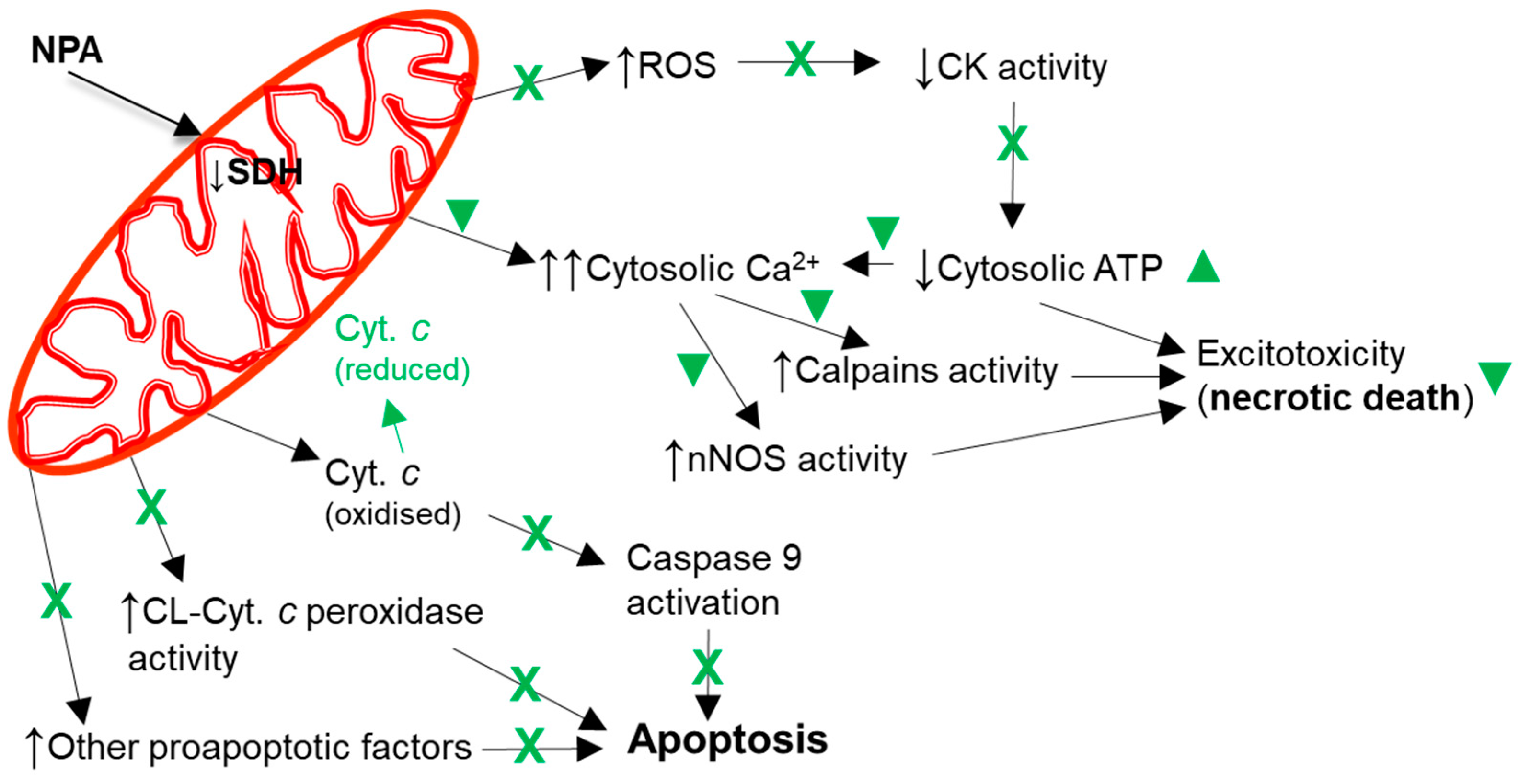 Molecules 29 00776 g005
