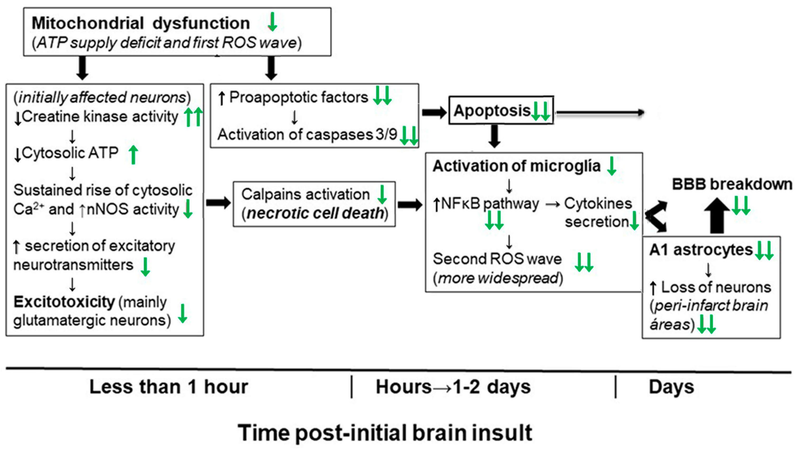 Molecules 29 00776 g006