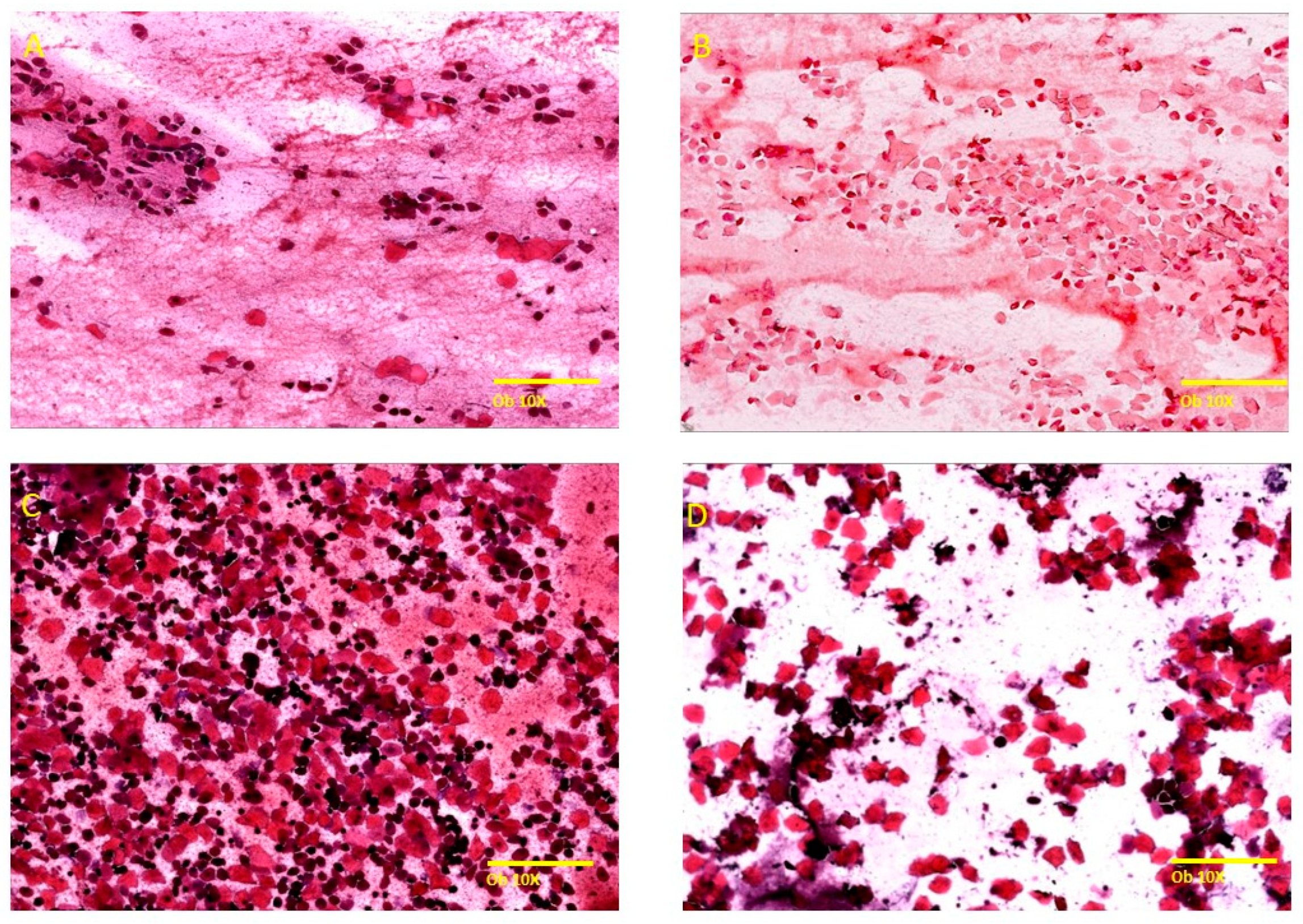 Molecules 29 00778 g002