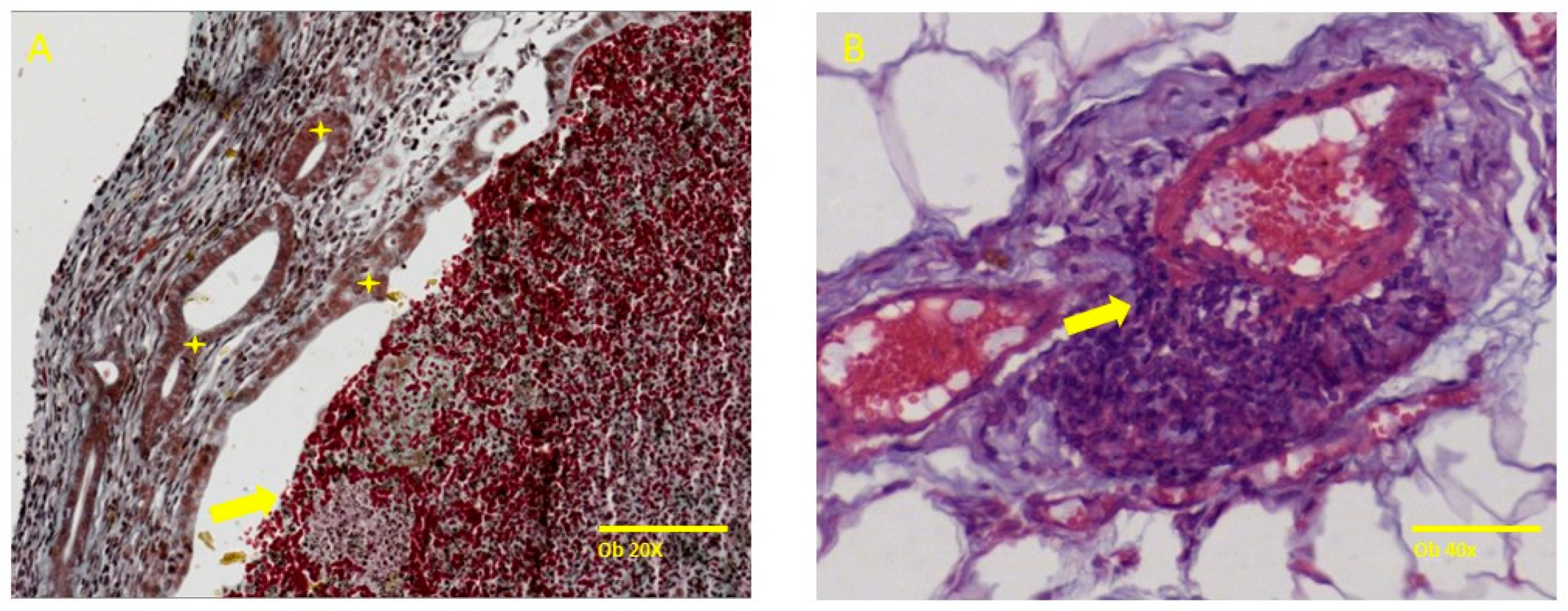 Molecules 29 00778 g003