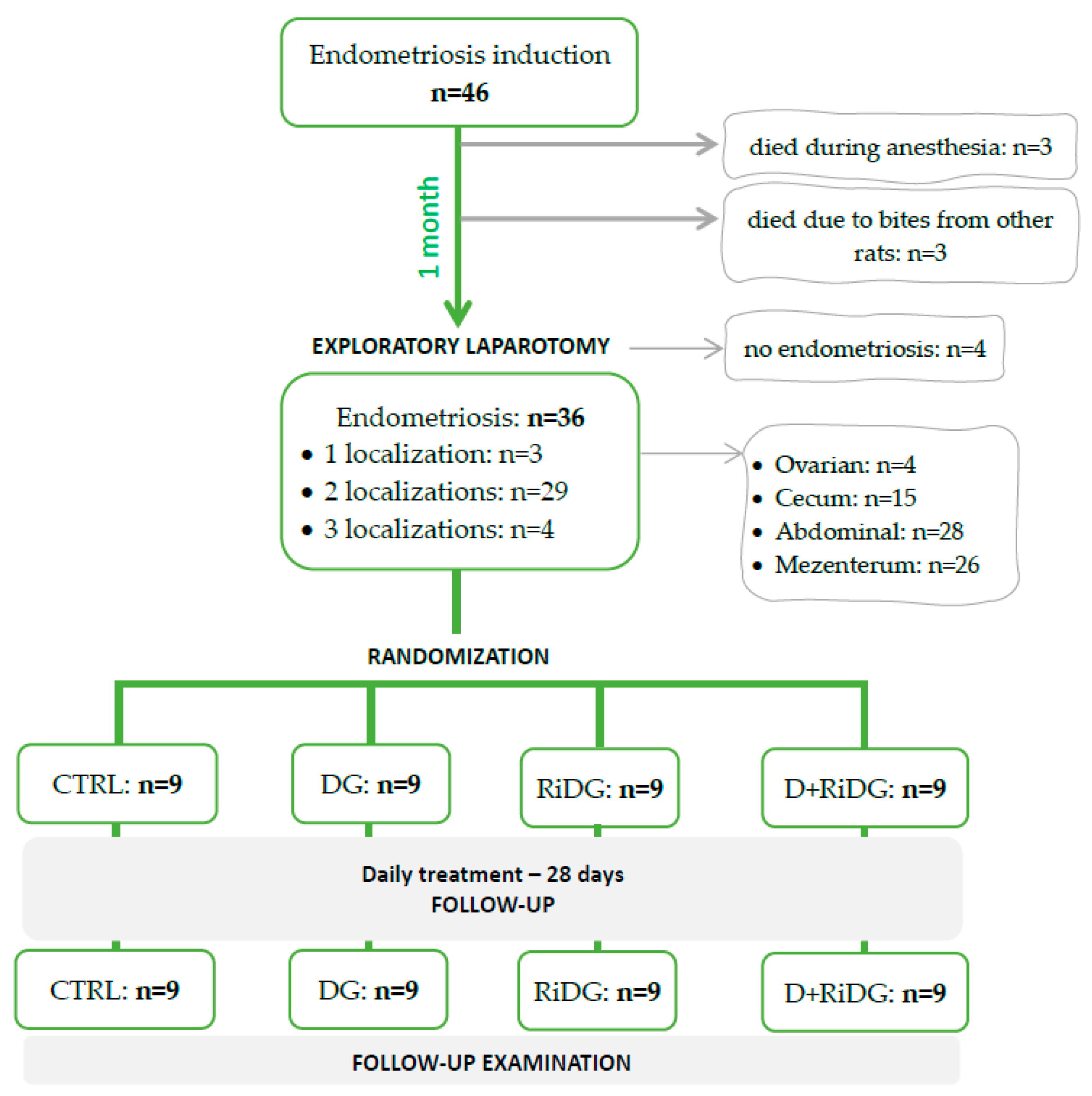 Molecules 29 00778 g004