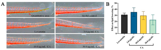 Hypolipidemic and Antithrombotic Effect of 6′-O-Caffeoylarbutin