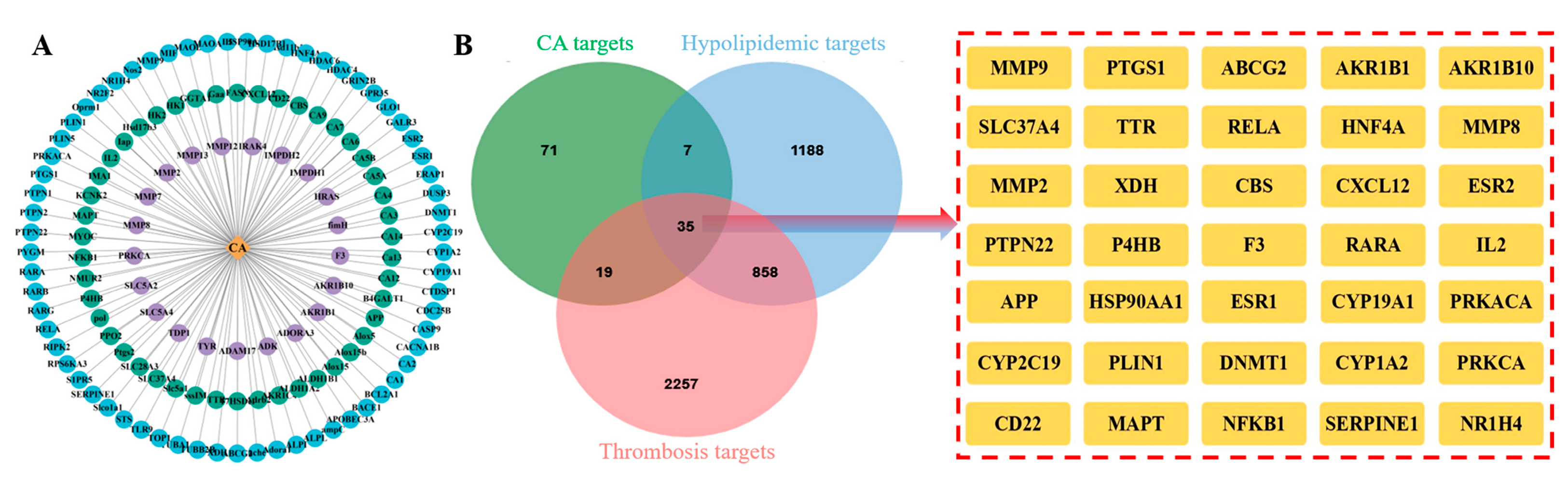 Molecules 29 00780 g003