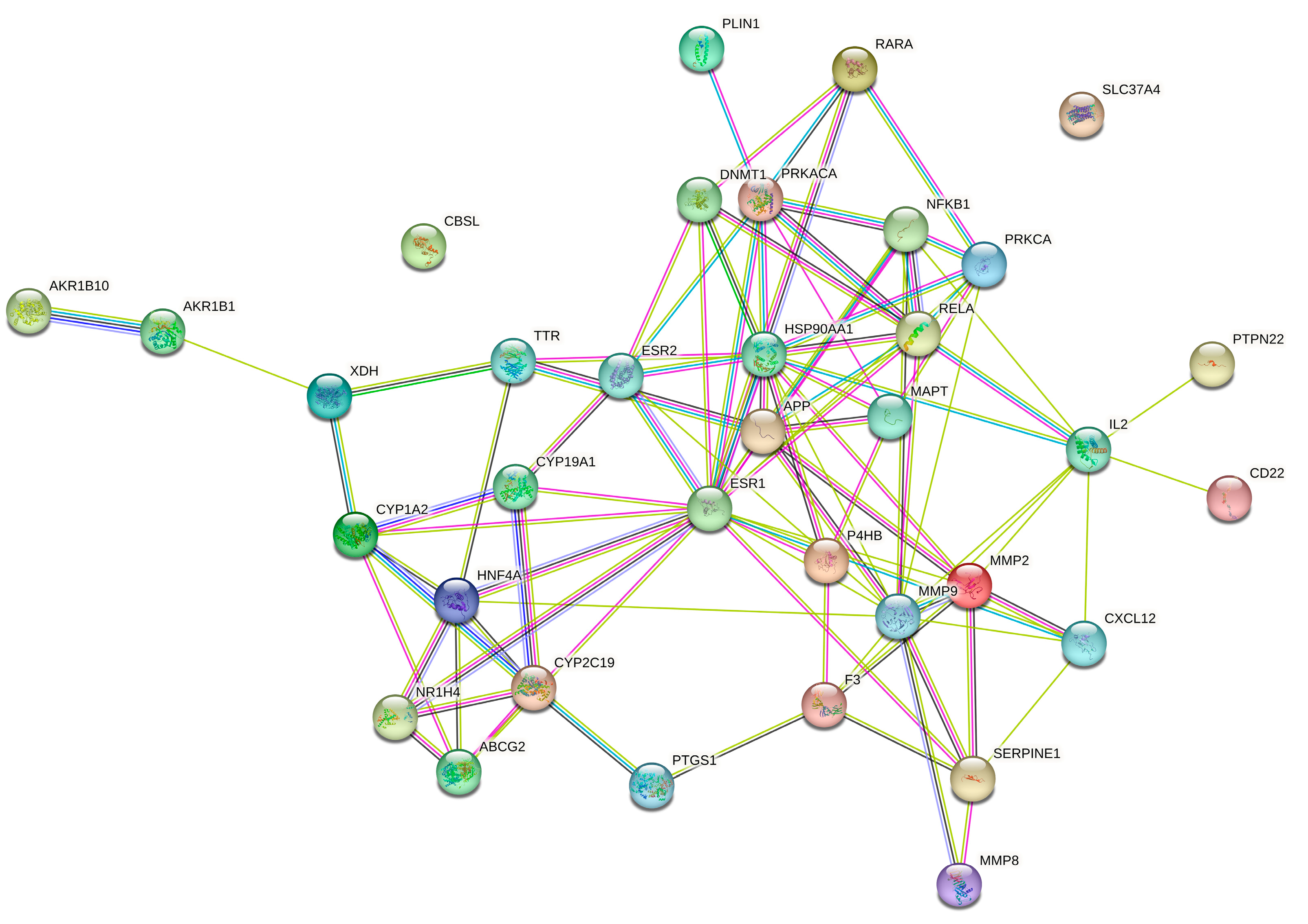 Molecules 29 00780 g004