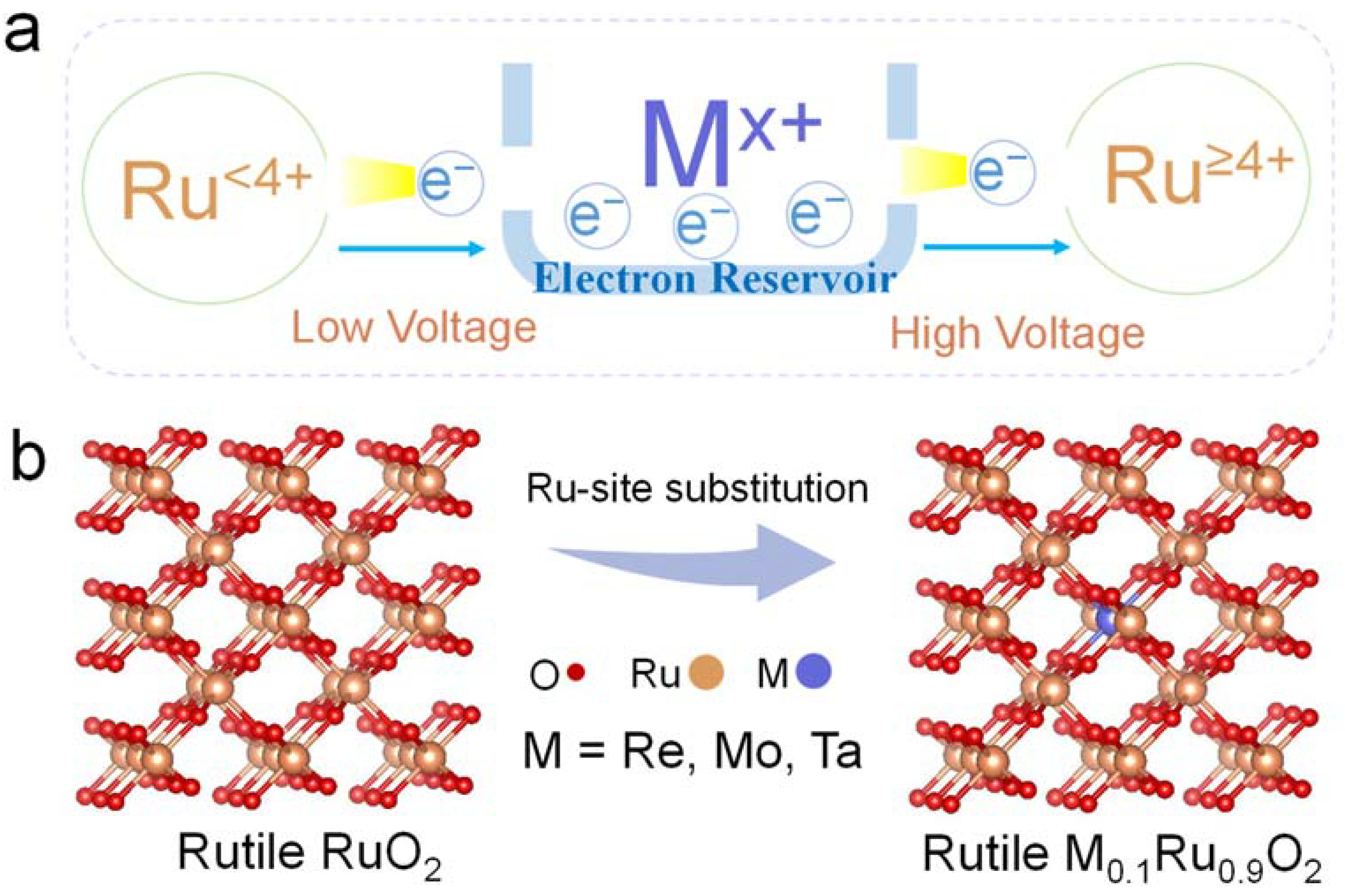 Molecules 29 00785 g001