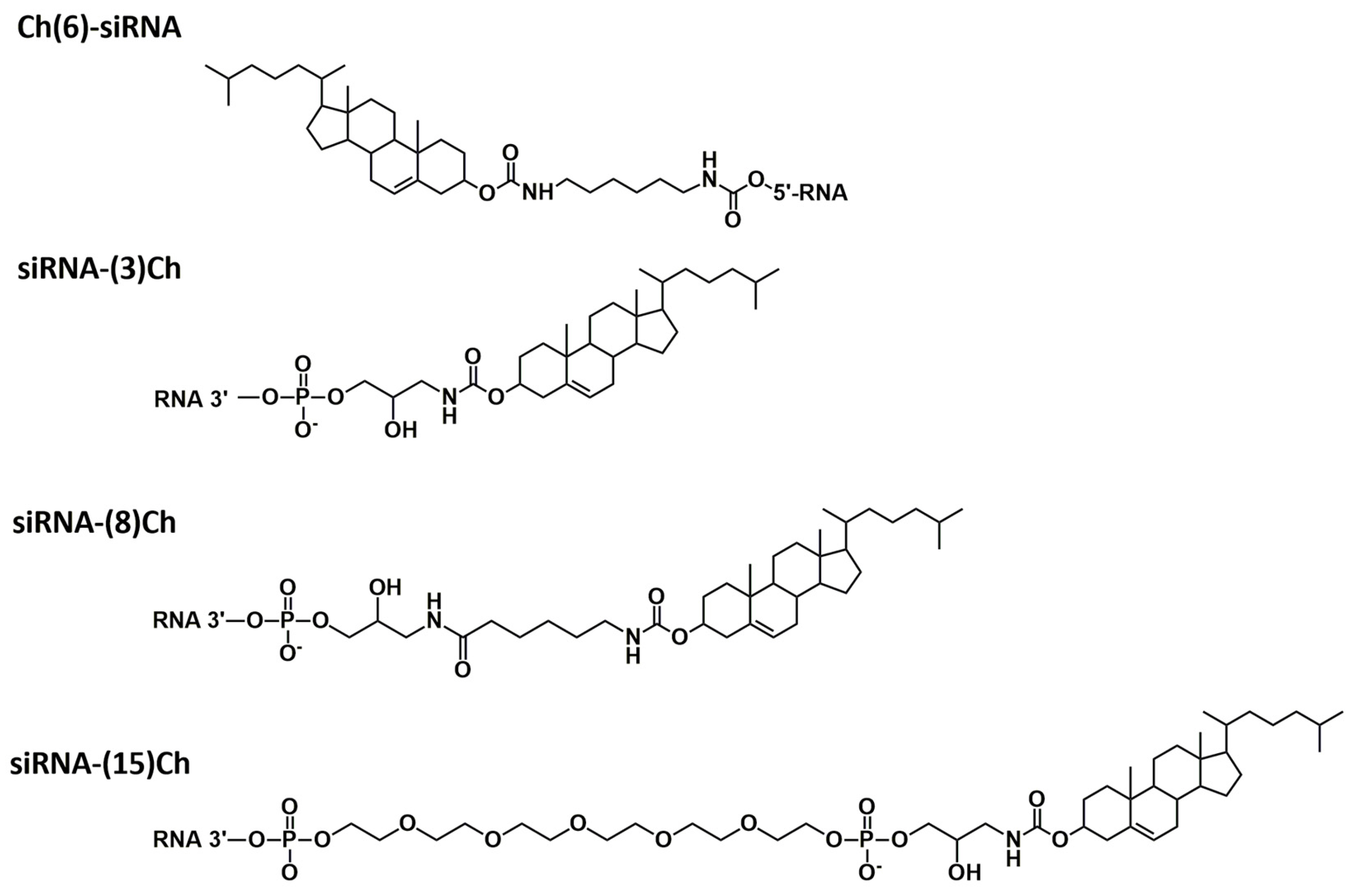 Molecules 29 00786 g001