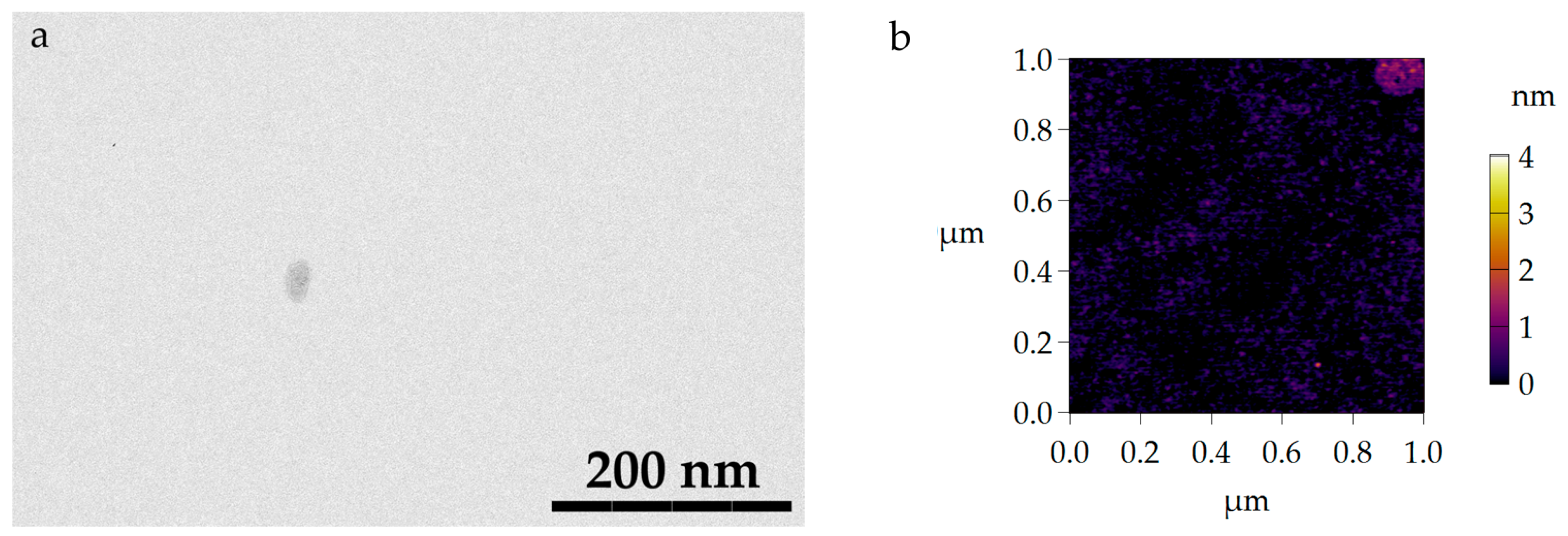 Molecules 29 00793 g0a1