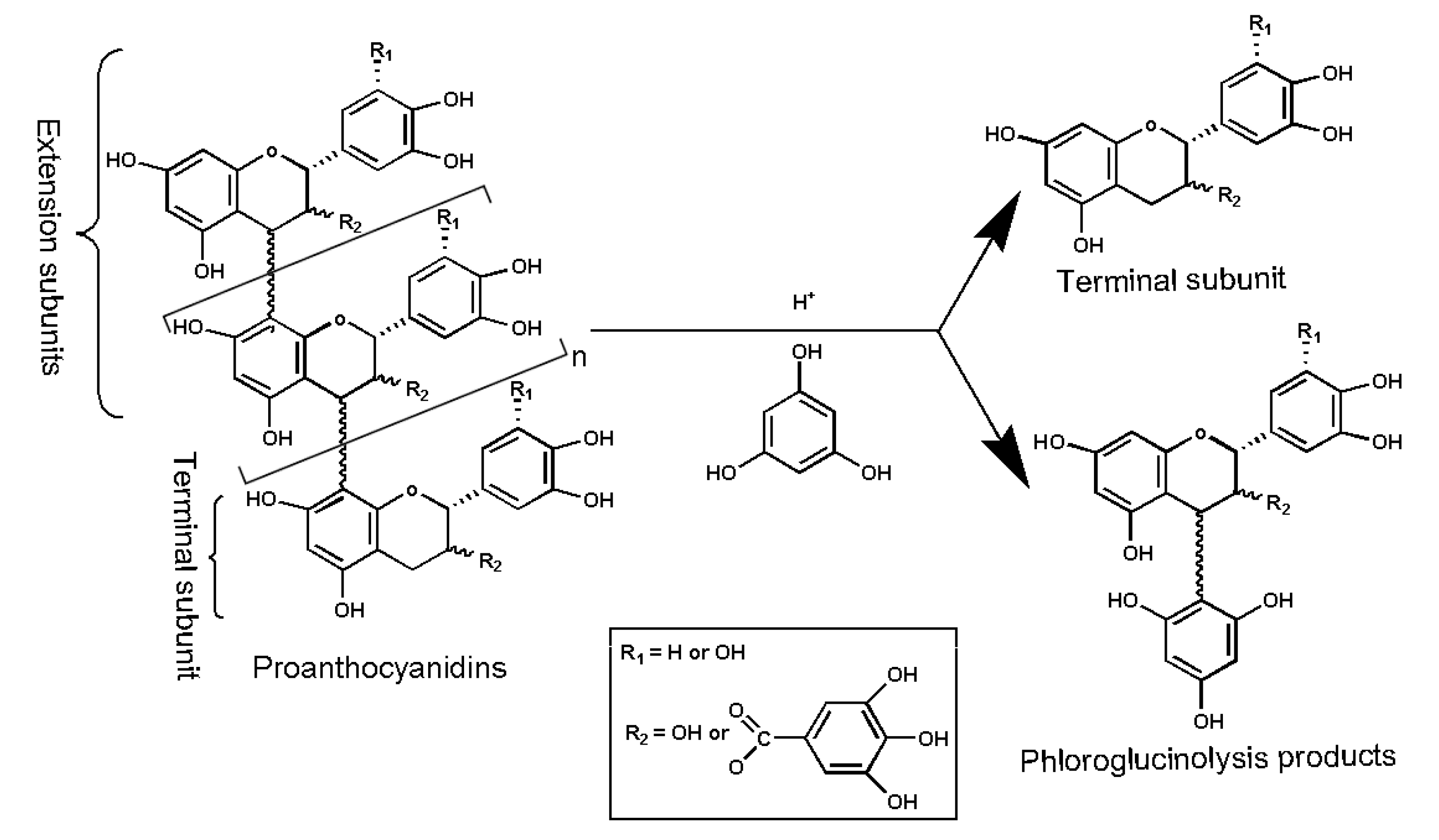 Molecules 29 00796 g005