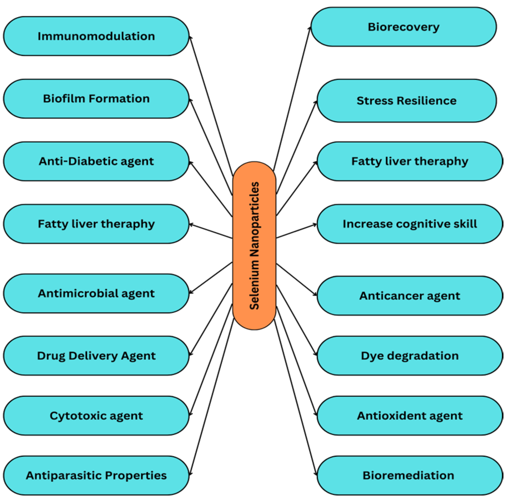 Molecules 29 00801 g001