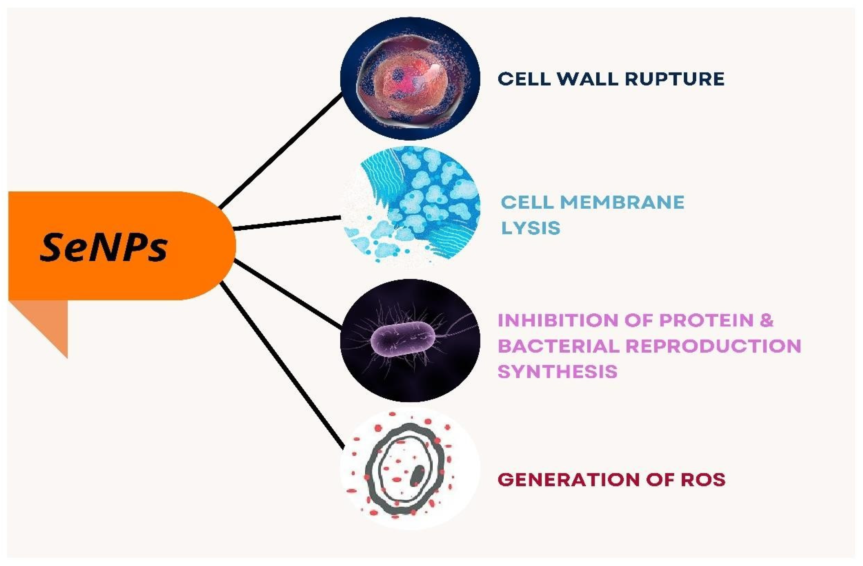 Molecules 29 00801 g006
