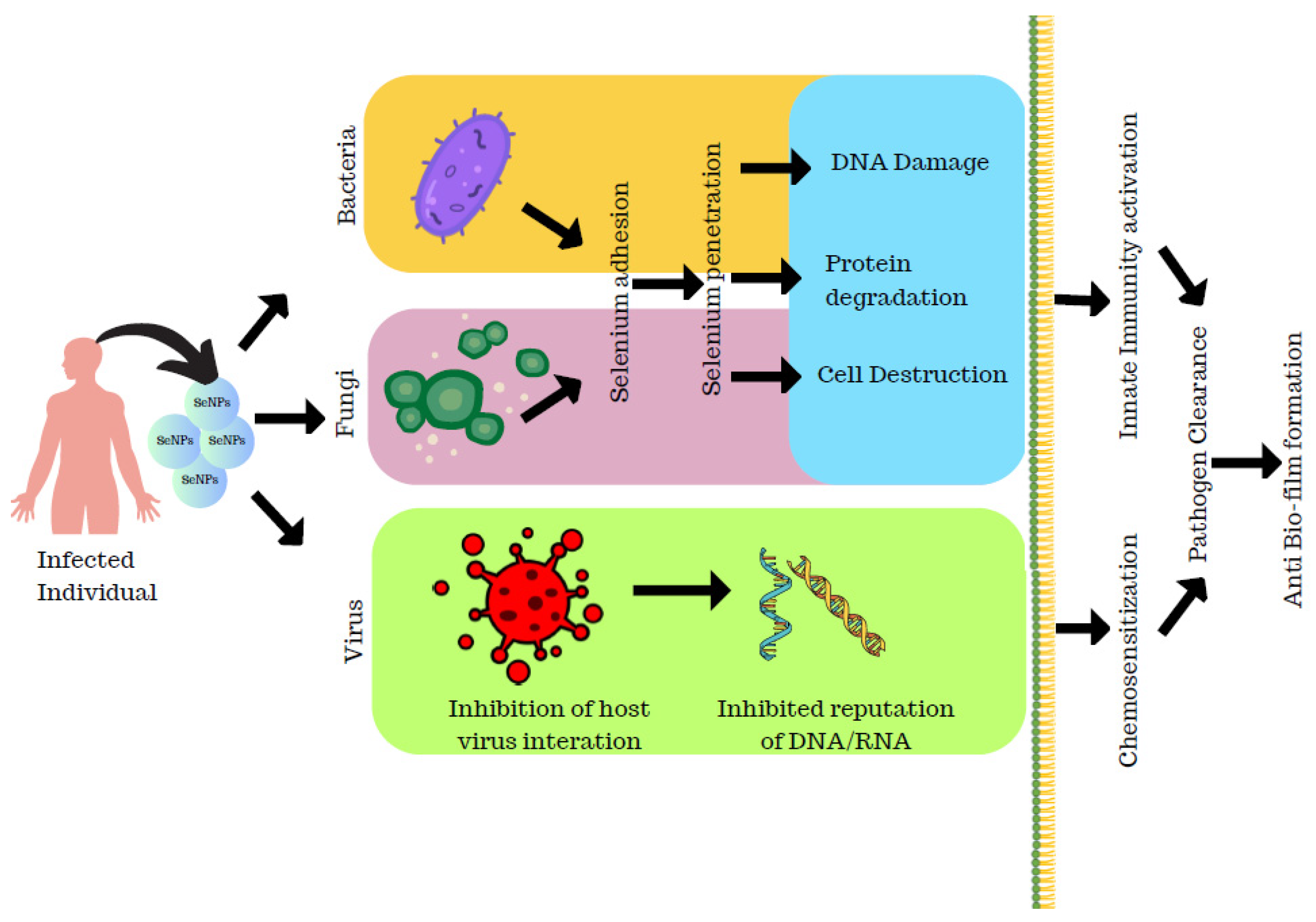 Molecules 29 00801 g008