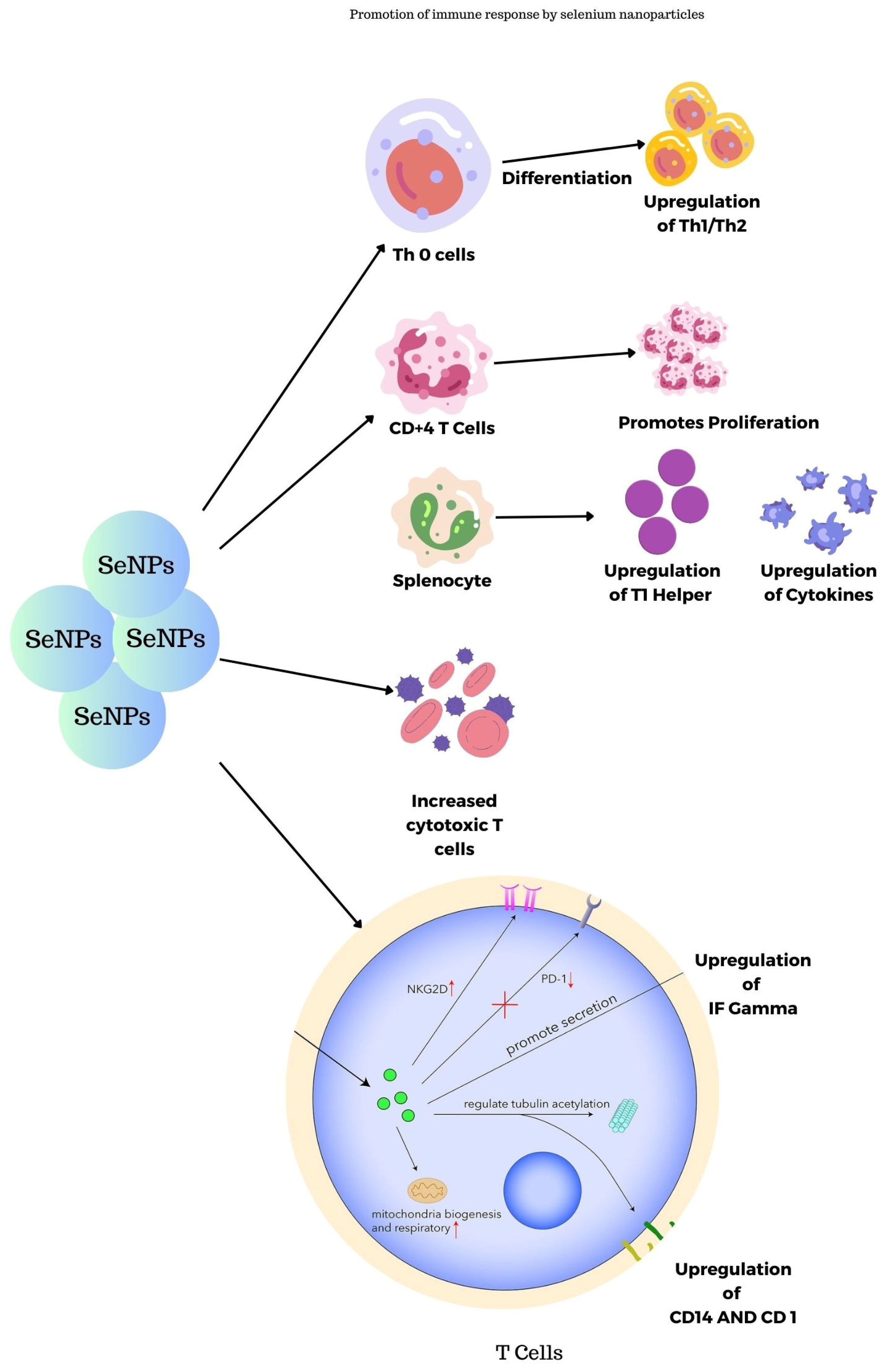Molecules 29 00801 g009