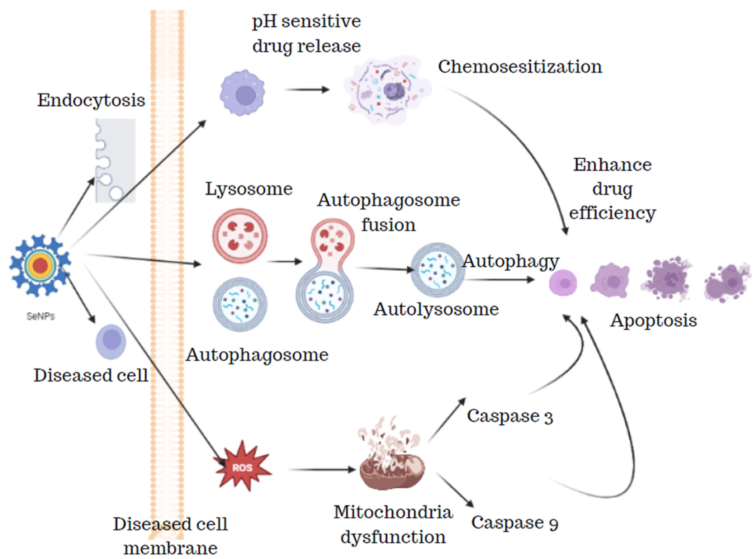 Molecules 29 00801 g010