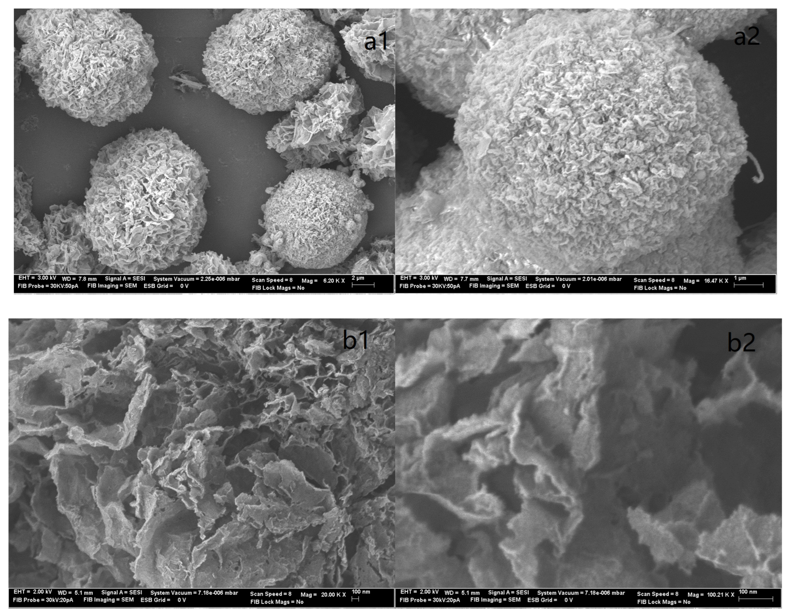 Molecules 29 00803 g004