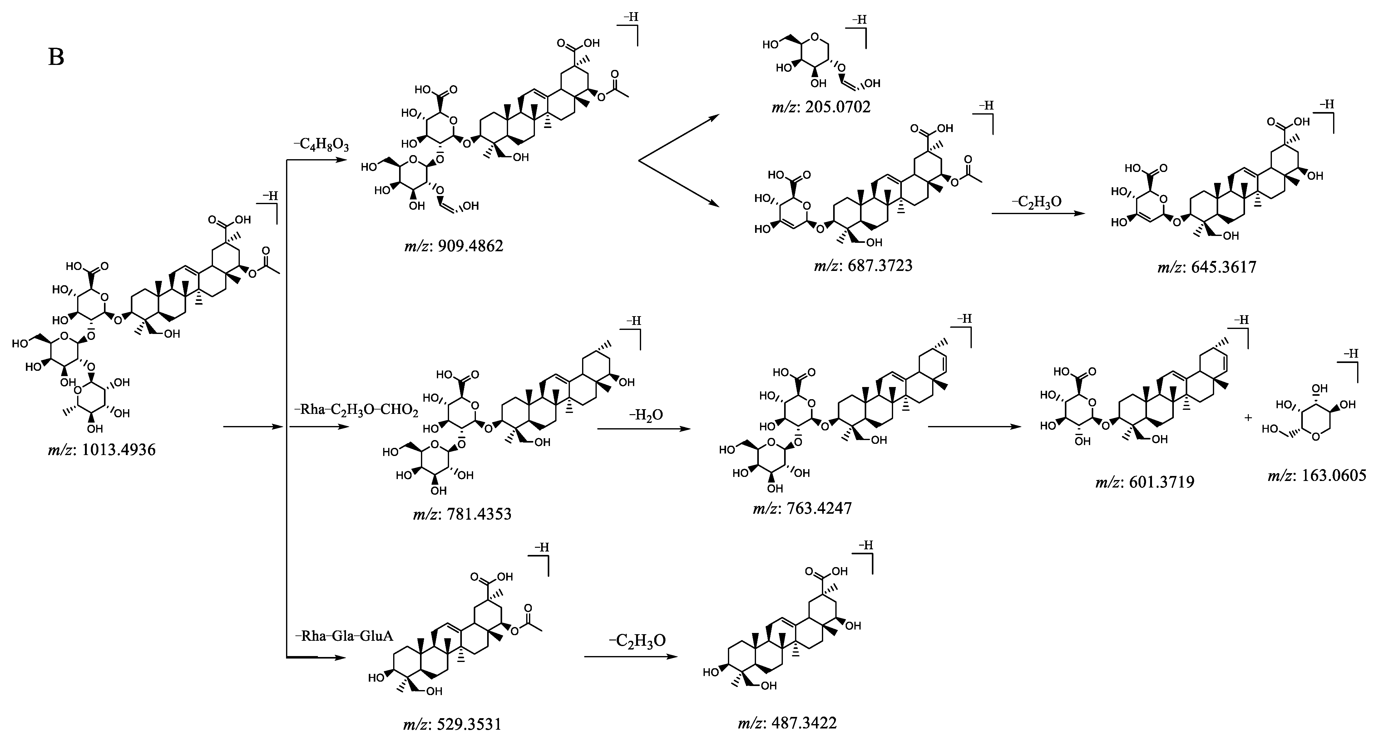 Molecules 29 00806 g003b