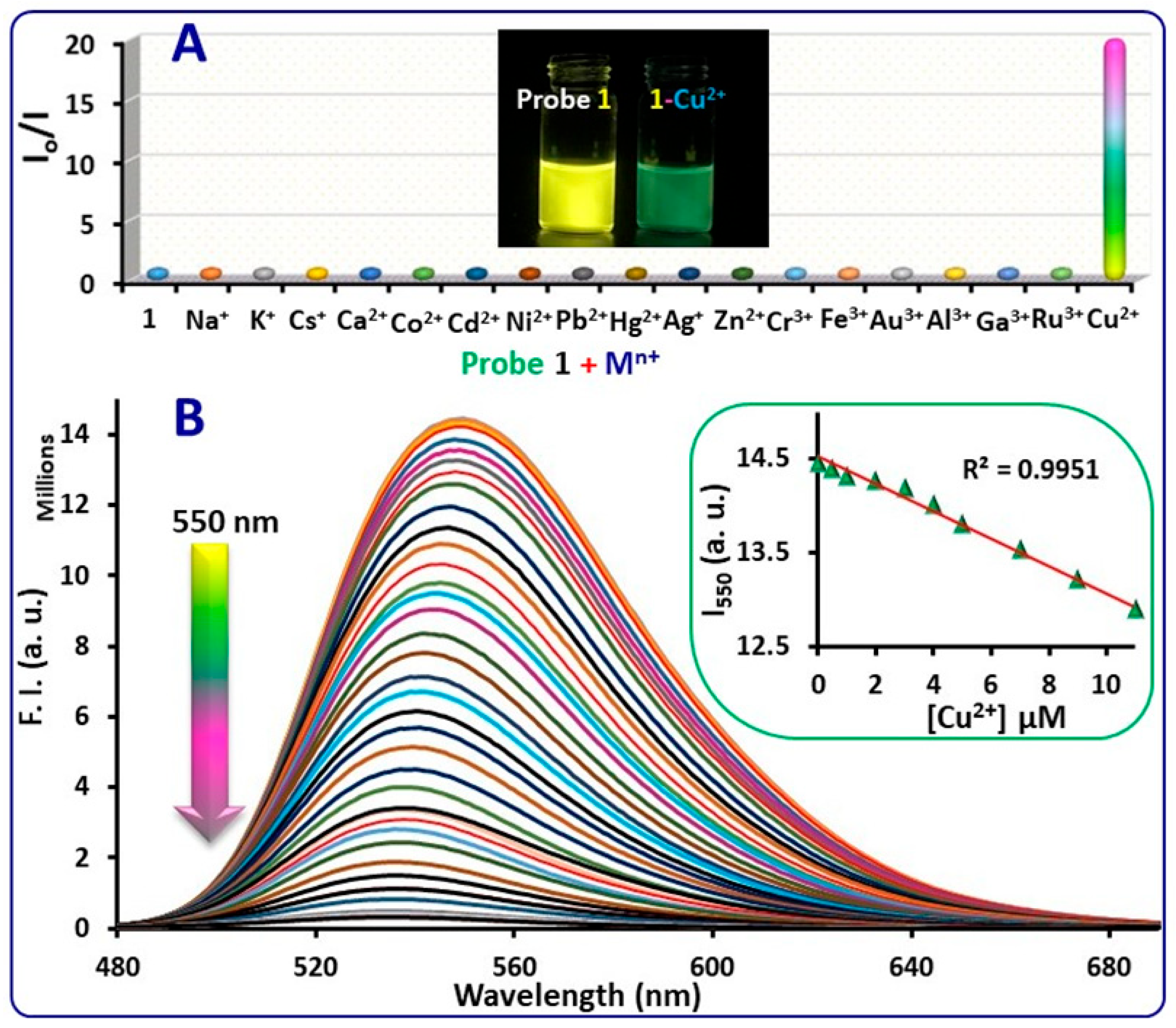 Molecules 29 00808 g005