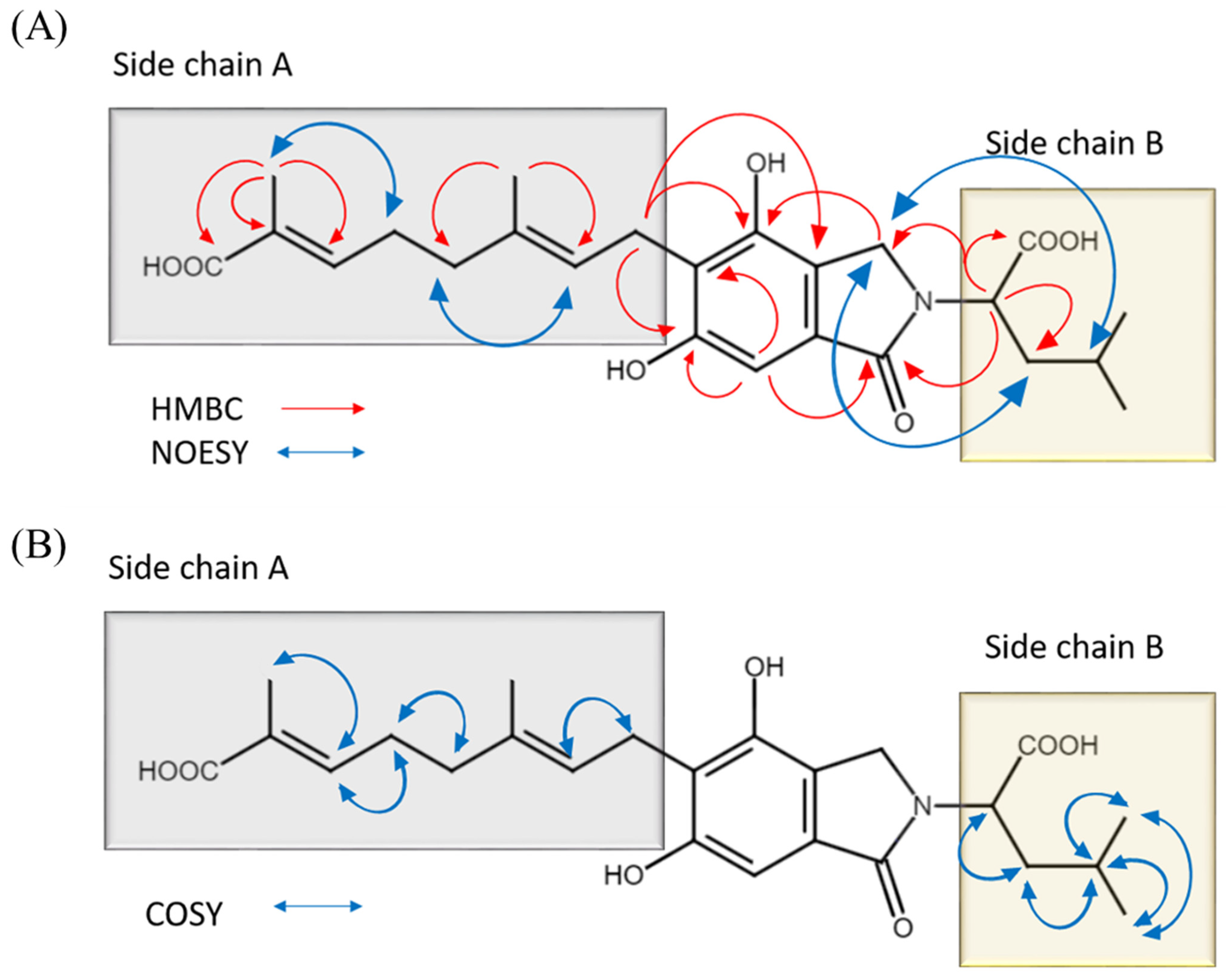 Molecules 29 00812 g003
