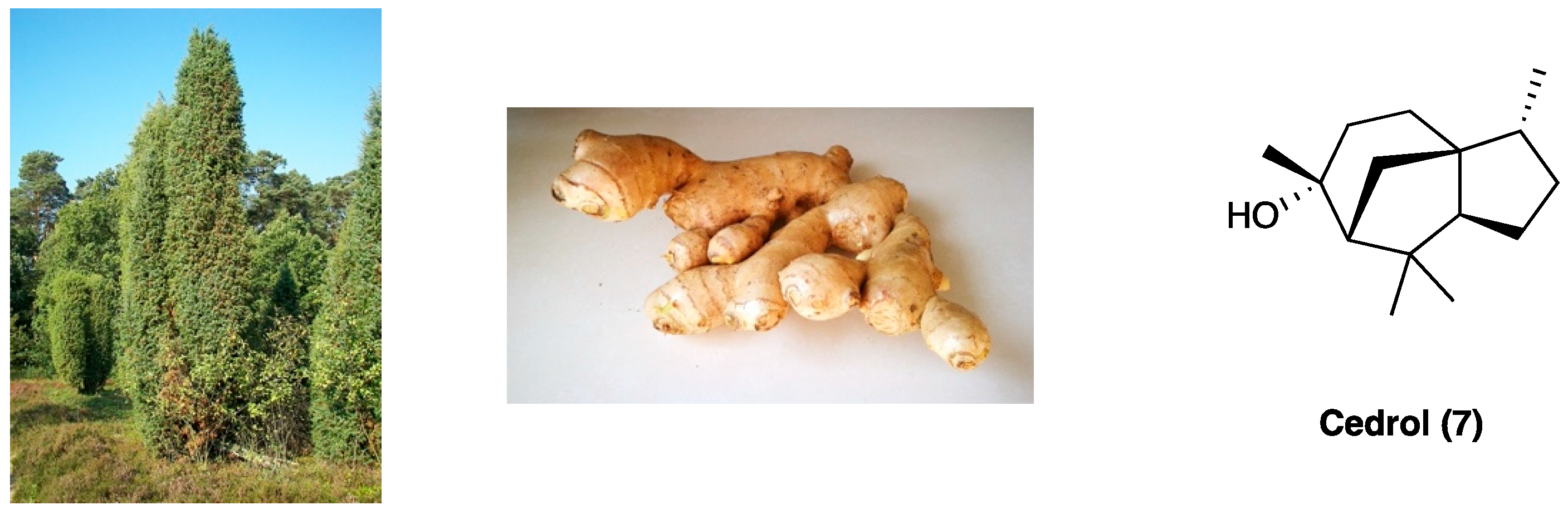 Molecules 29 00815 g005 Molecules 29 00815 g005