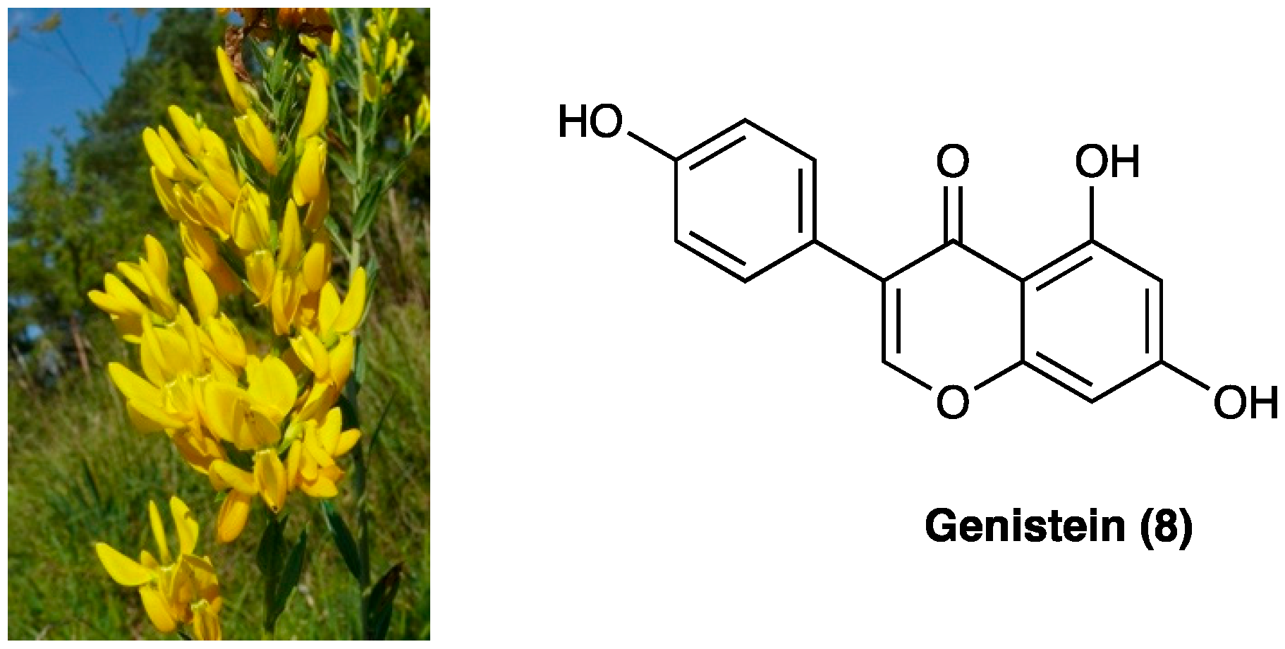 Molecules 29 00815 g006 Molecules 29 00815 g006