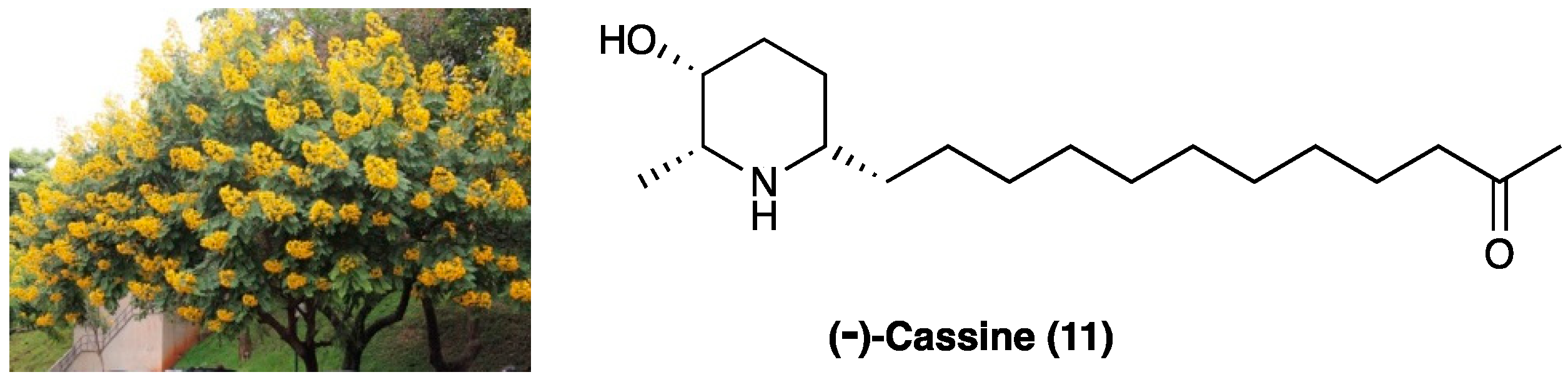 Molecules 29 00815 g009 Molecules 29 00815 g009