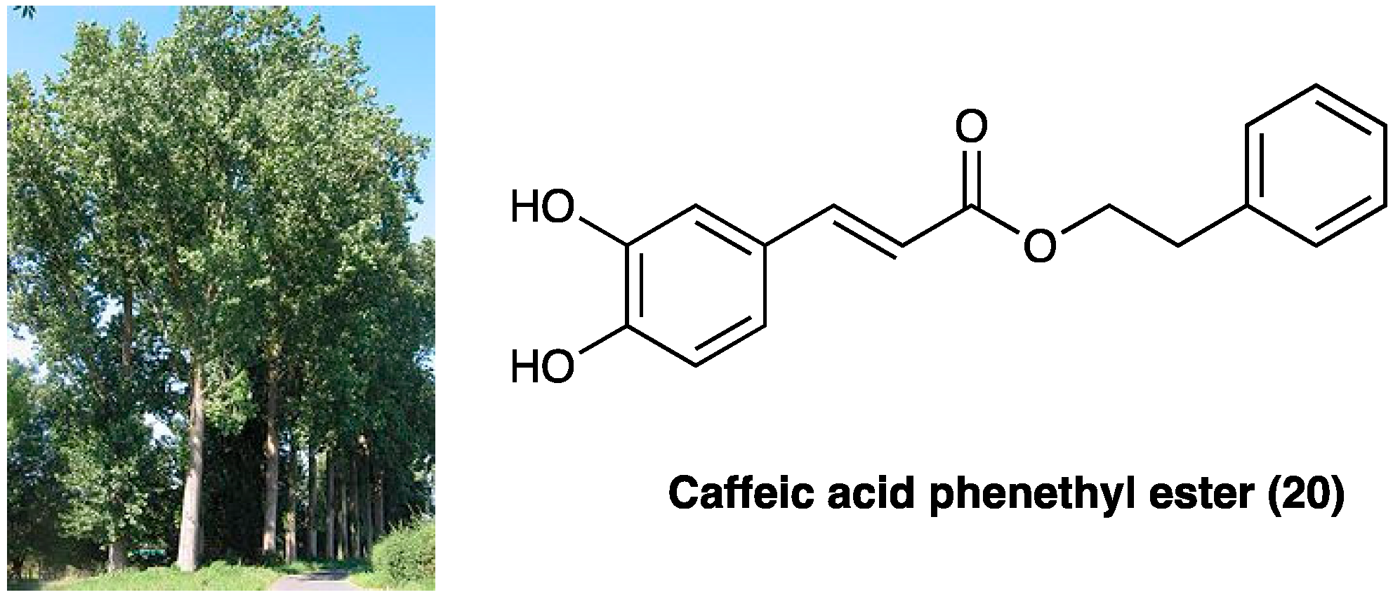 Molecules 29 00815 g014 Molecules 29 00815 g014