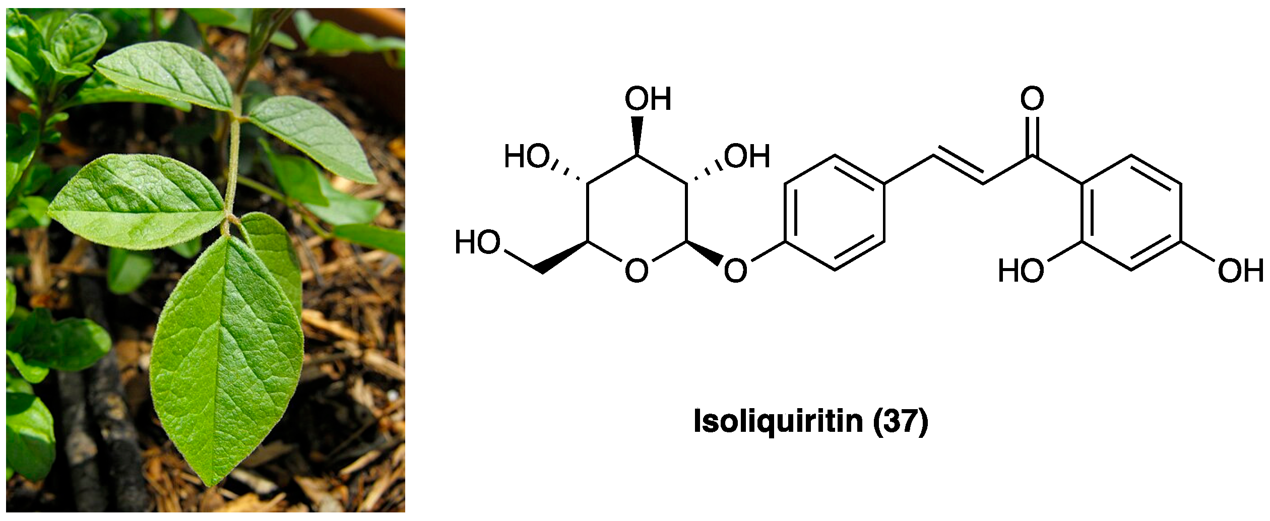Molecules 29 00815 g024 Molecules 29 00815 g024