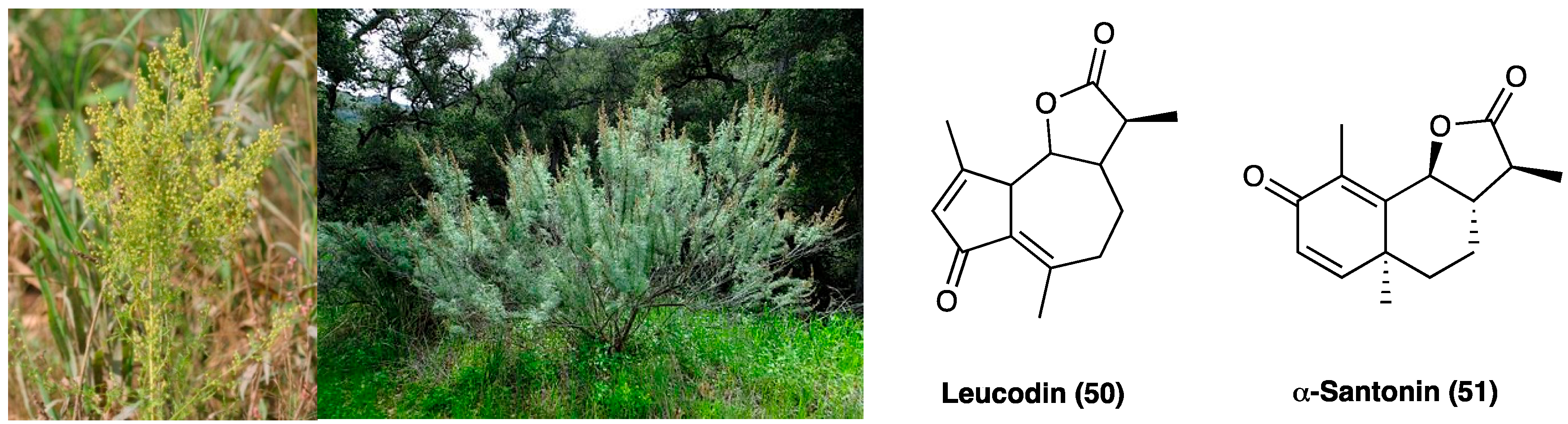 Molecules 29 00815 g026 Molecules 29 00815 g026