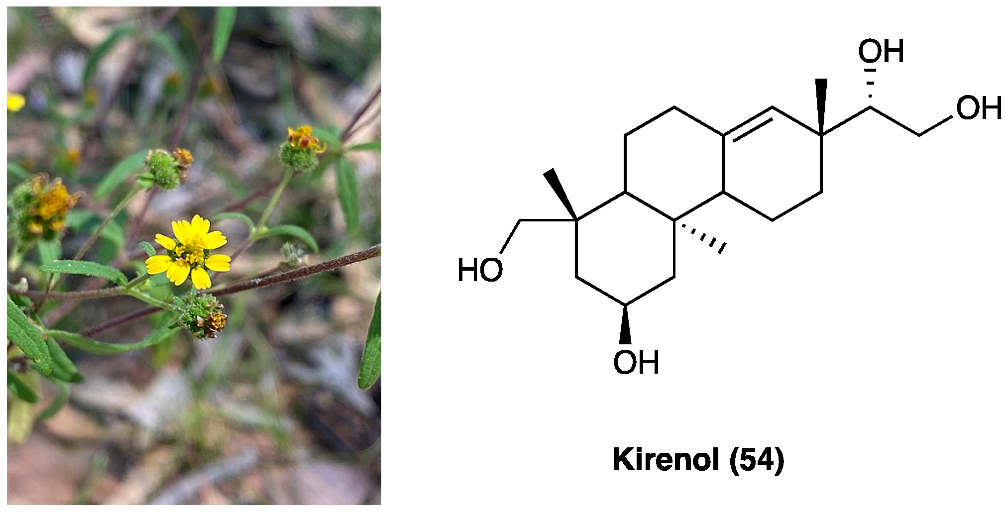Molecules 29 00815 g029 Molecules 29 00815 g029