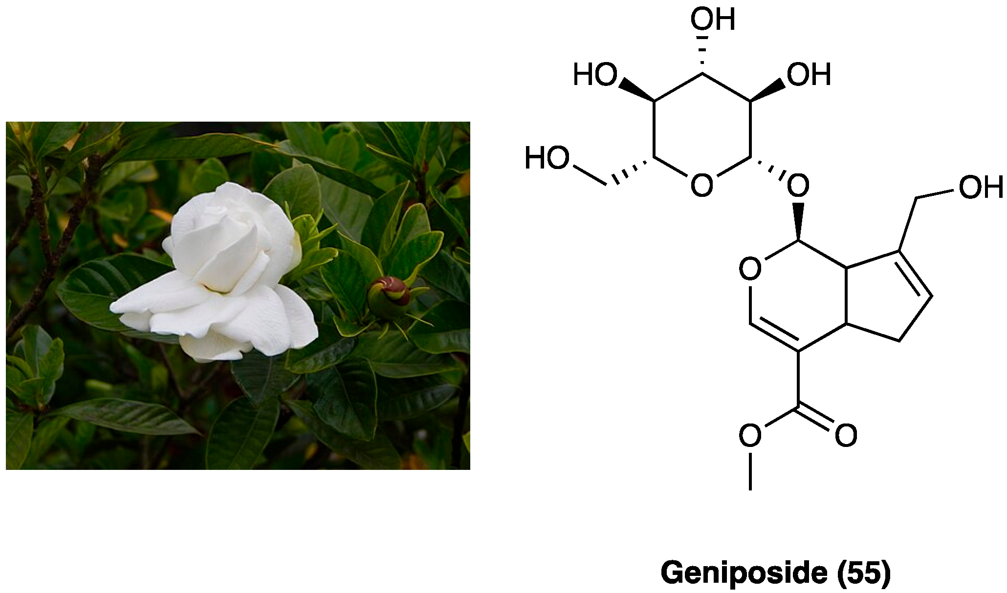 Molecules 29 00815 g030 Molecules 29 00815 g030