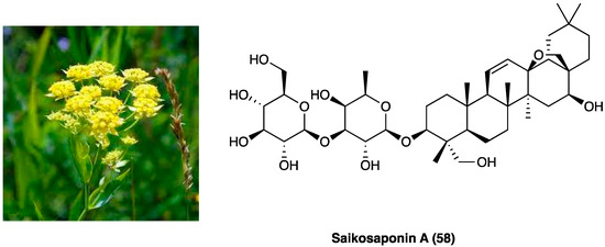 From Plant to Chemistry: Sources of Antinociceptive Non-Opioid