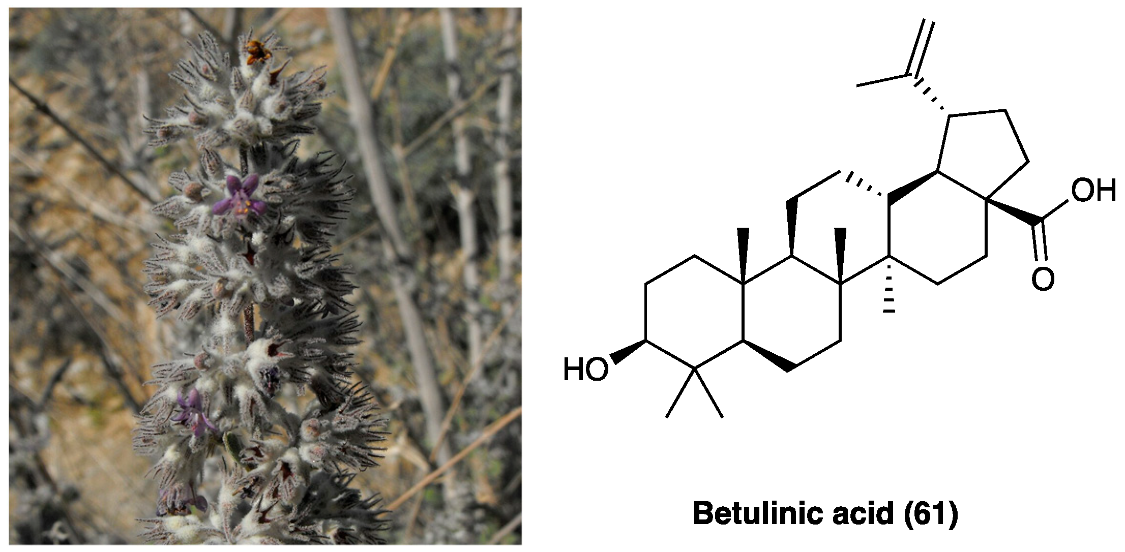 Molecules 29 00815 g035 Molecules 29 00815 g035